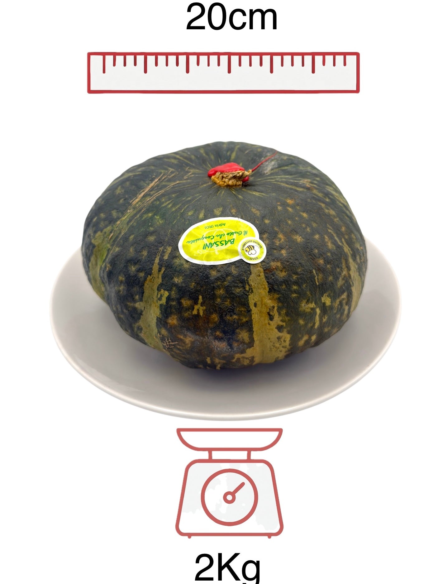 🟢 Zucca Delica – Dolce, Cremosa e di Stagione - Nature King