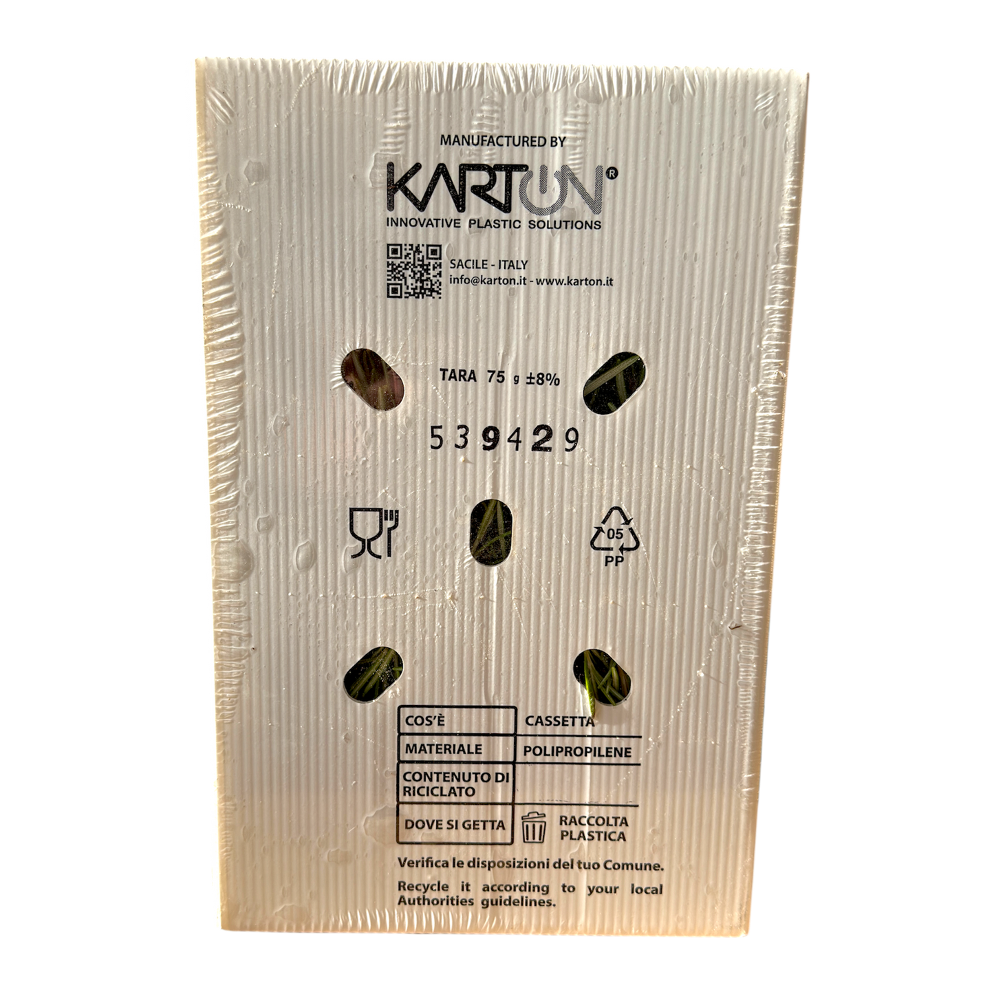 🟣 Rosmarino Fresco in Vaschetta 250GR – Aromatico e Profumato - Nature King