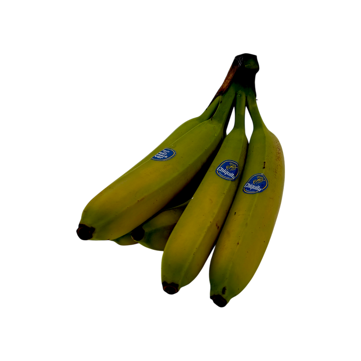 🟠 Banana Chiquita Tropicale - 1.3KG - Nature King