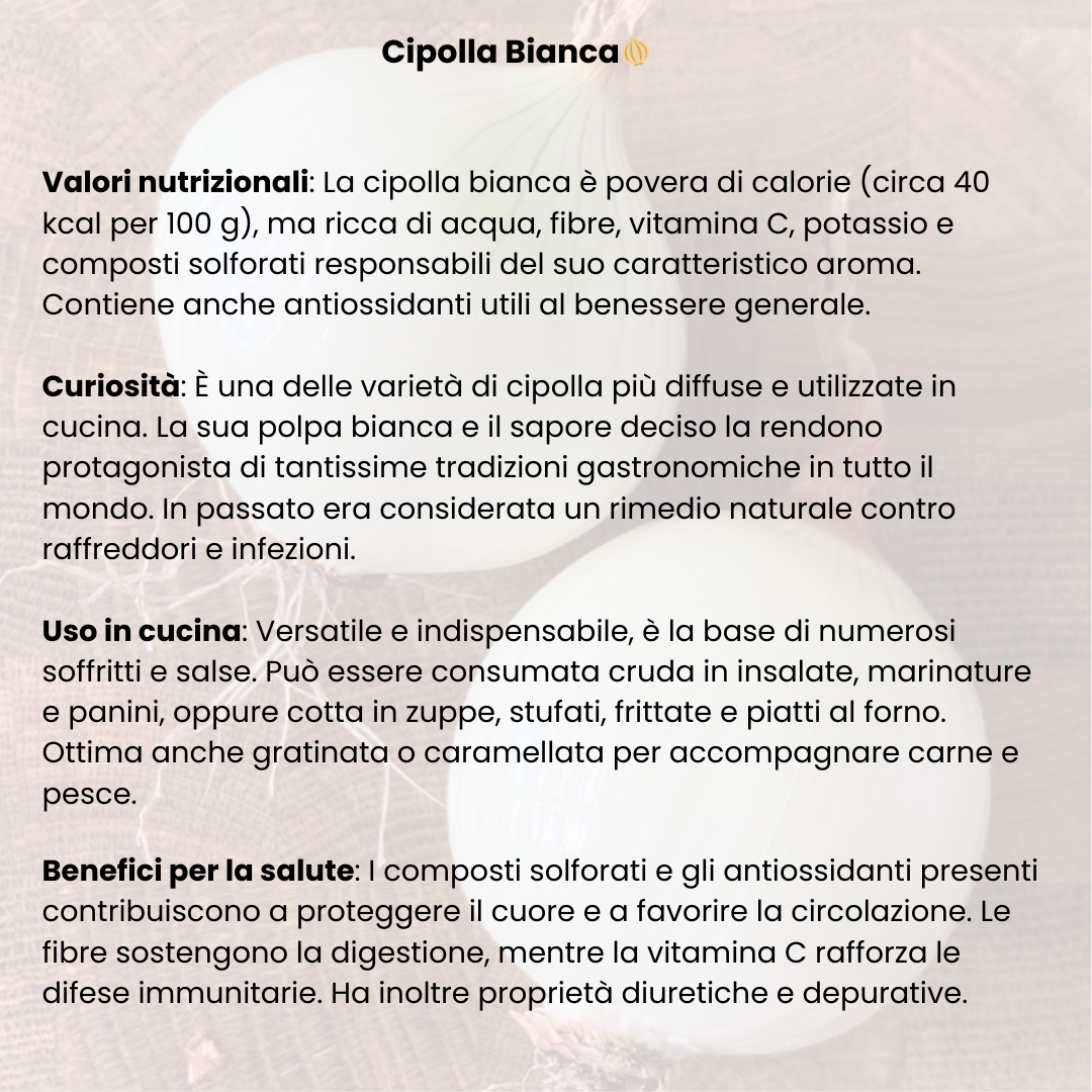 Cipolla bianca 1kg - Nature King