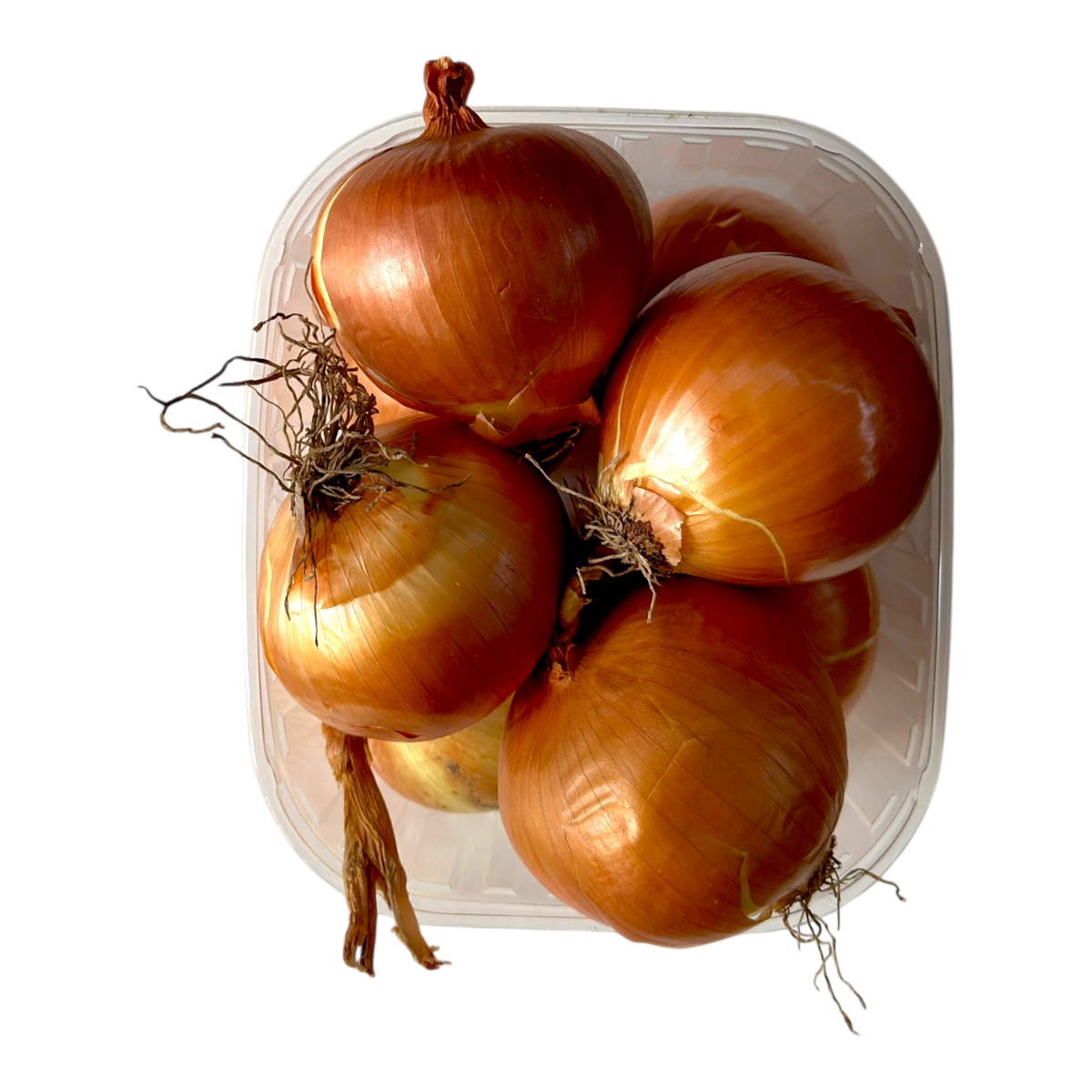🟢 Cipolle Gialle – Dolci e Versatili - Nature King