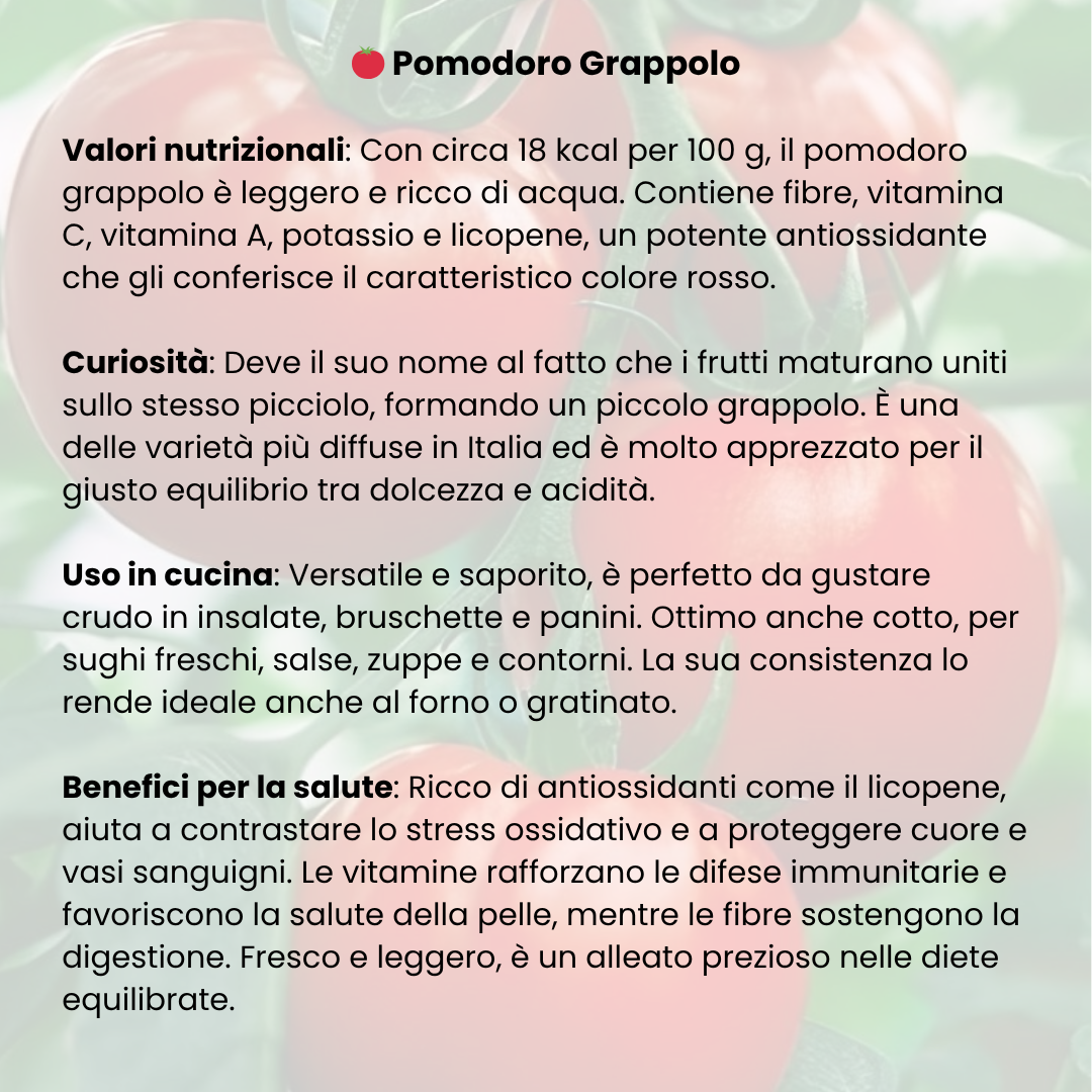 Pomodoro a grappolo 1kg - Nature King