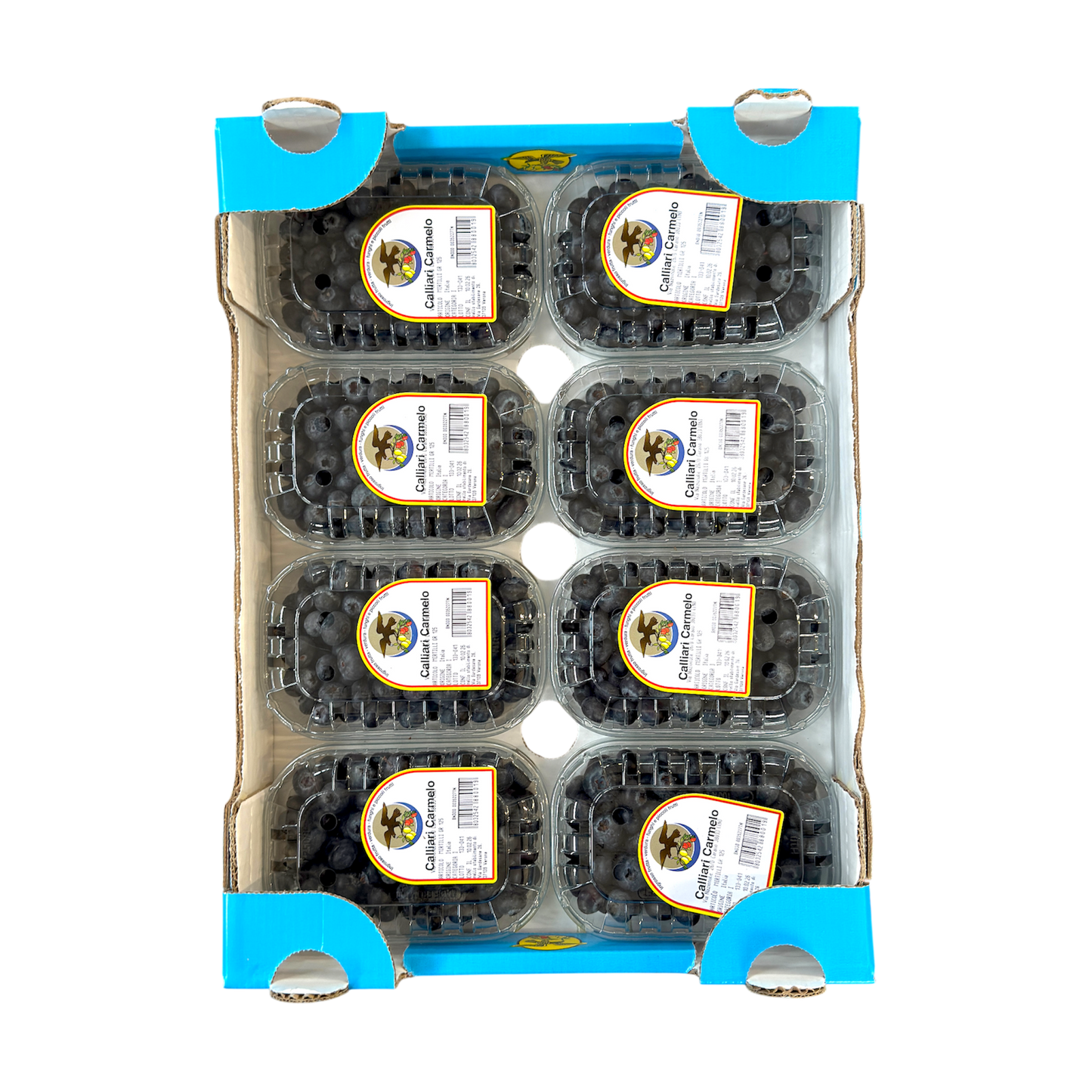 🟡 Mirtilli Freschi 125gr – Dolci e Succosi - Nature King