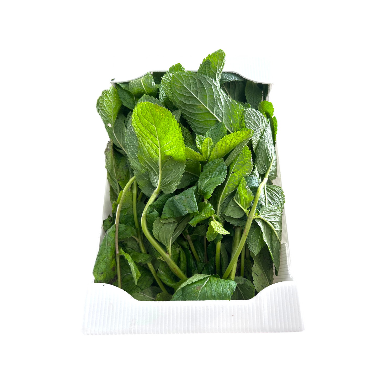 🟣 Menta Fresca 250gr – Profumata, Intensa e Naturale - Nature King