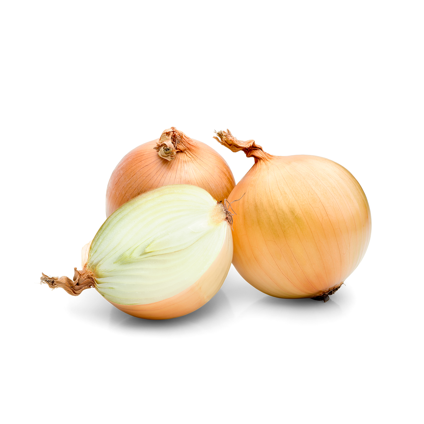 Cipolla bianca 1kg - Nature King