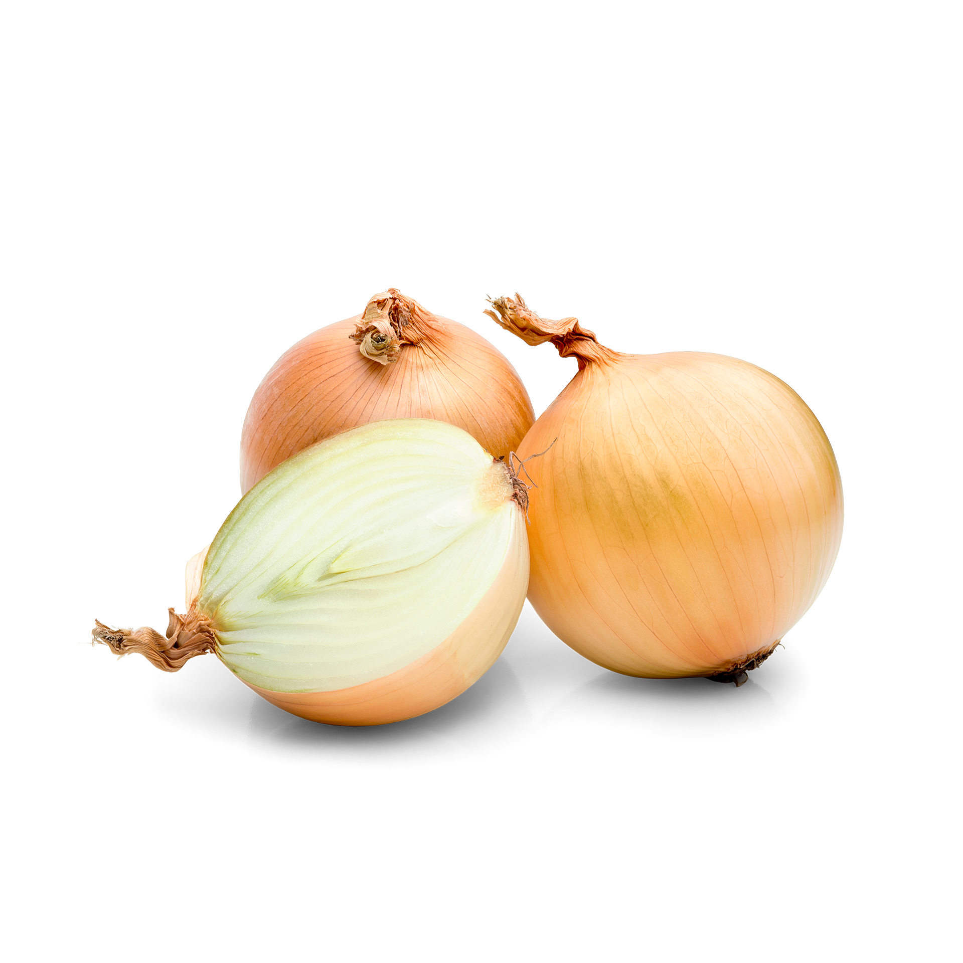 Cipolla bianca 1kg - Nature King