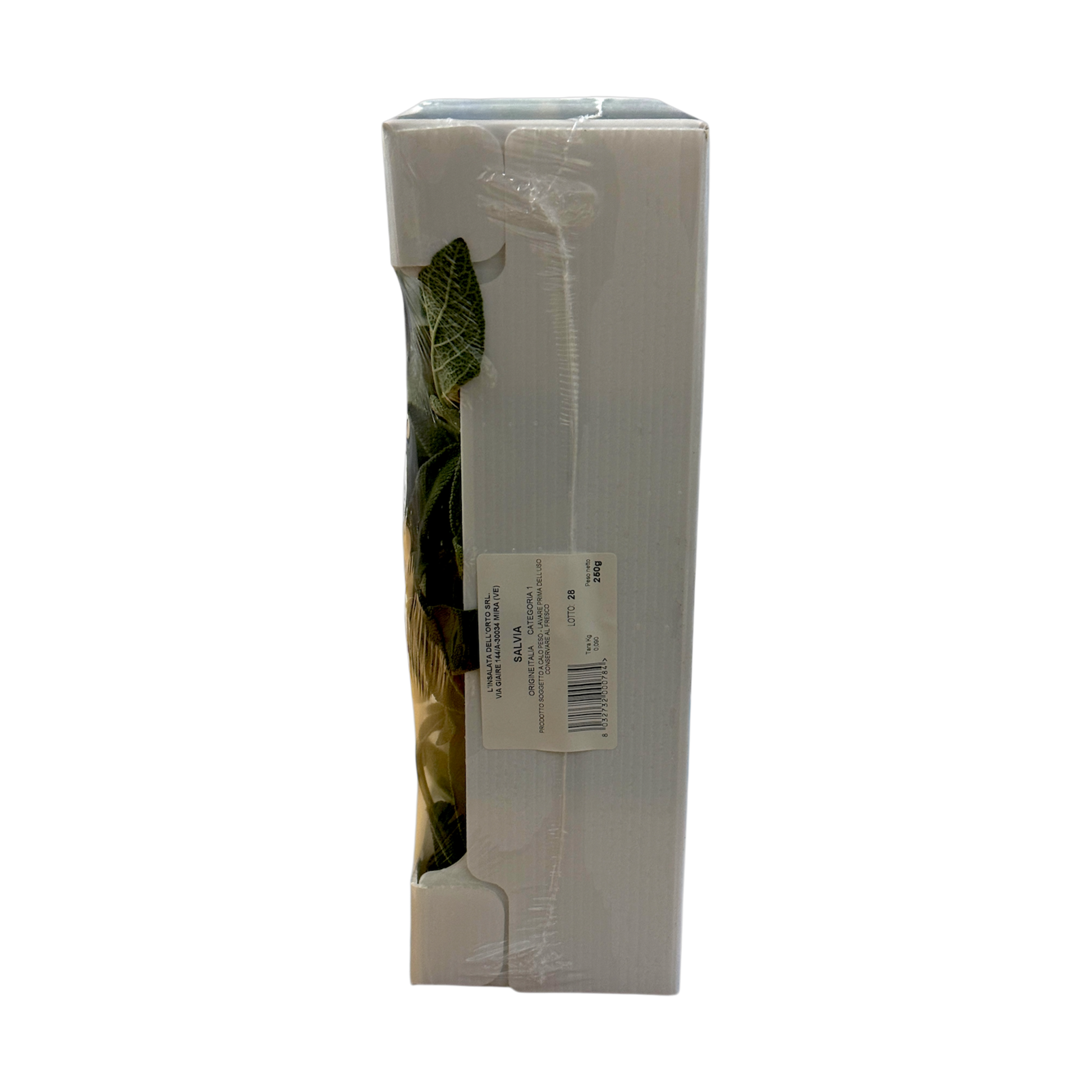 🟣Salvia Fresca Selezionata – 250GR - Nature King