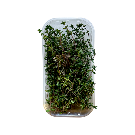 Timo 20 - Nature King