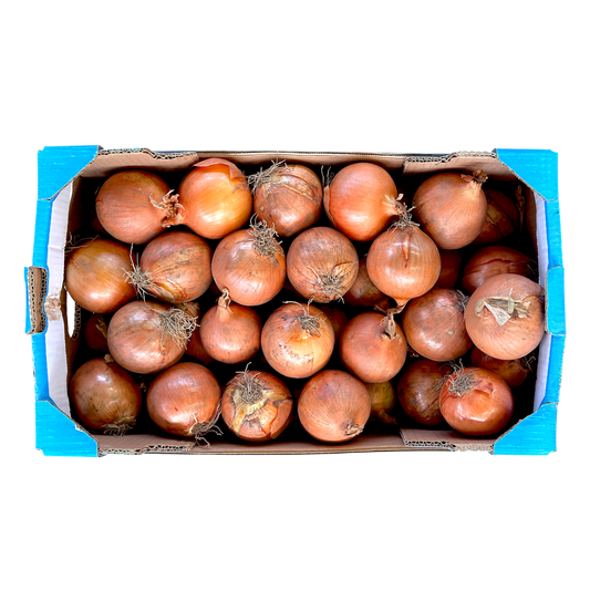 Cipolle gialle - Nature King