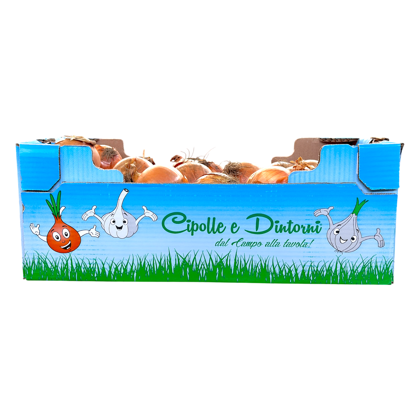 Cipolle gialle - Nature King