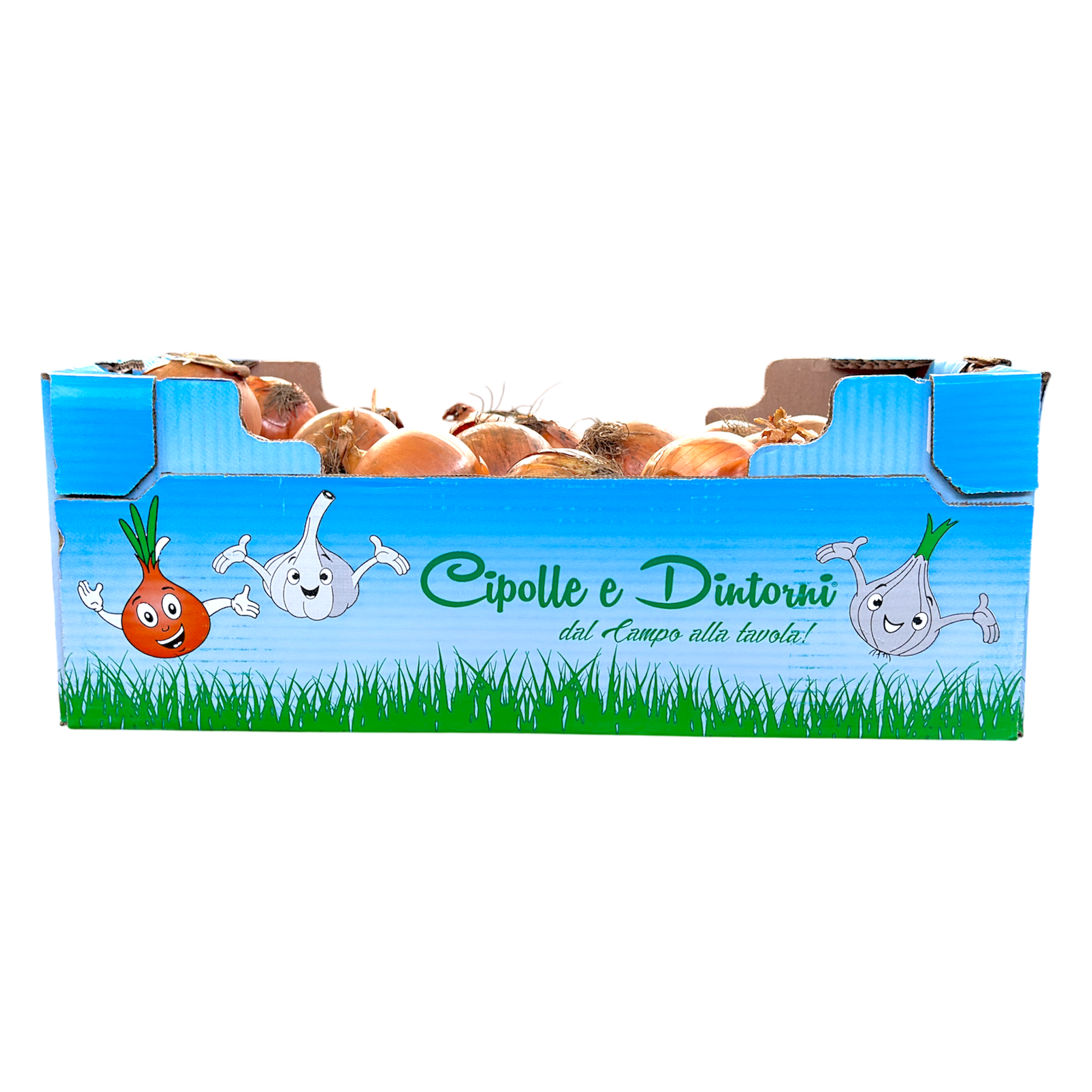 Cipolle gialle - Nature King