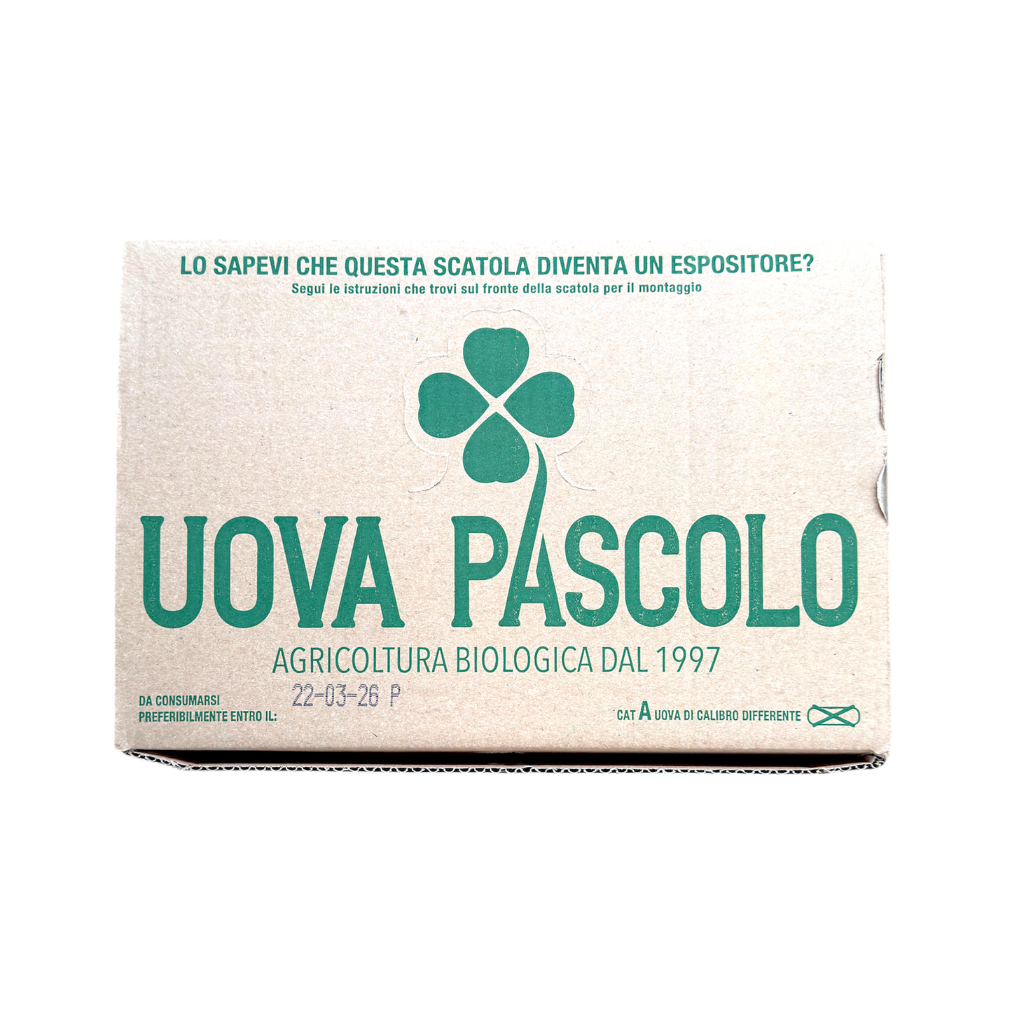 🥚 Uova Biologiche Fresche 6 Pezzi – Qualità Naturale - Nature King