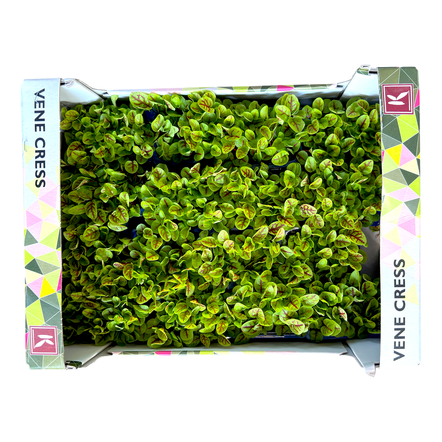 🌱 Vene Cress Koppert Cress – Microgreen Gourmet per Chef - Nature King