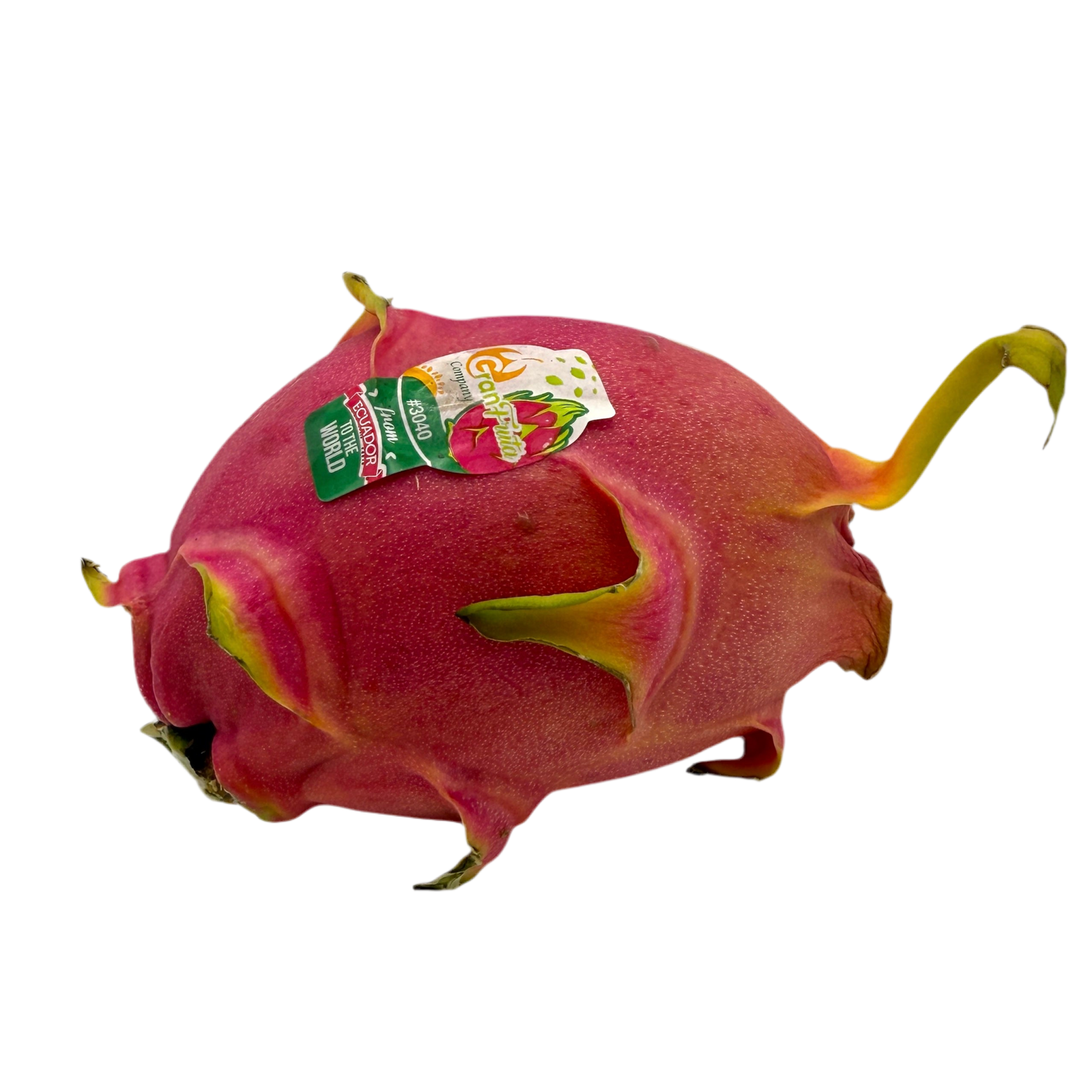 🟠 Dragon Fruit Tropicale – La Regina dei Tropici - Nature King