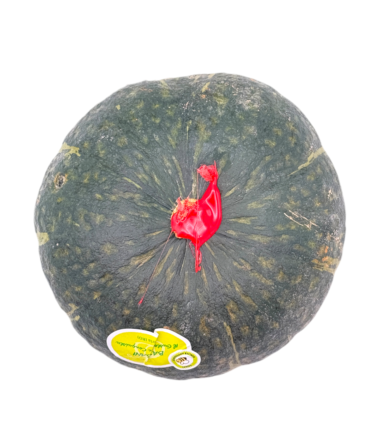 🟢 Zucca Delica – Dolce, Cremosa e di Stagione - Nature King