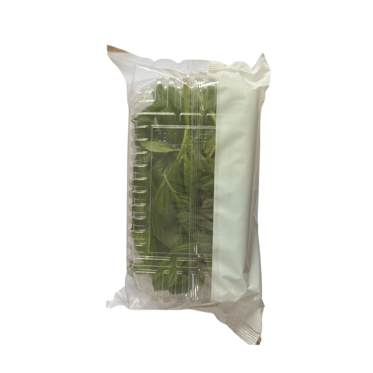 🟣 Basilico Confezionato 30GR - Nature King
