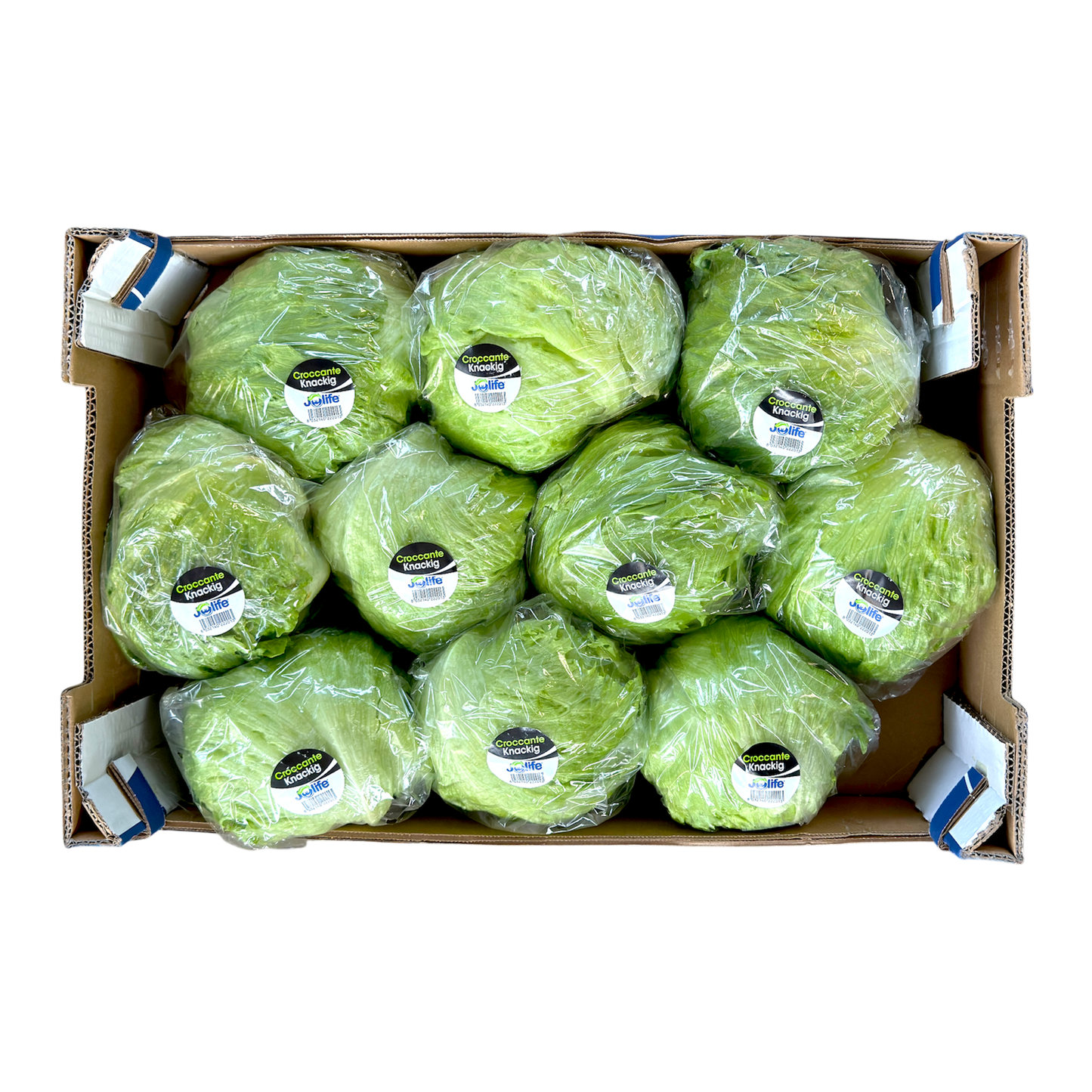 🟢 Insalata Brasiliana (Iceberg) Fresca – Croccante e Naturale - Nature King