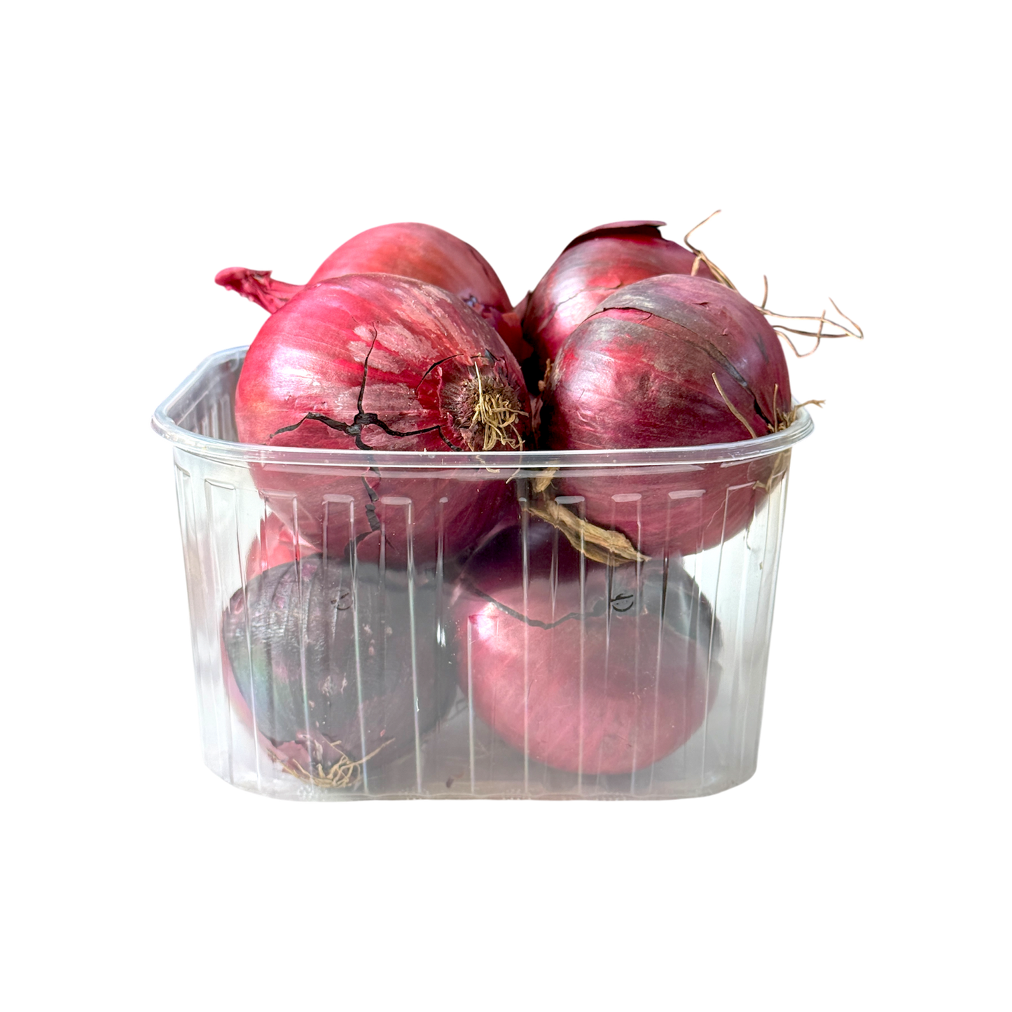 Cipolle rosse
