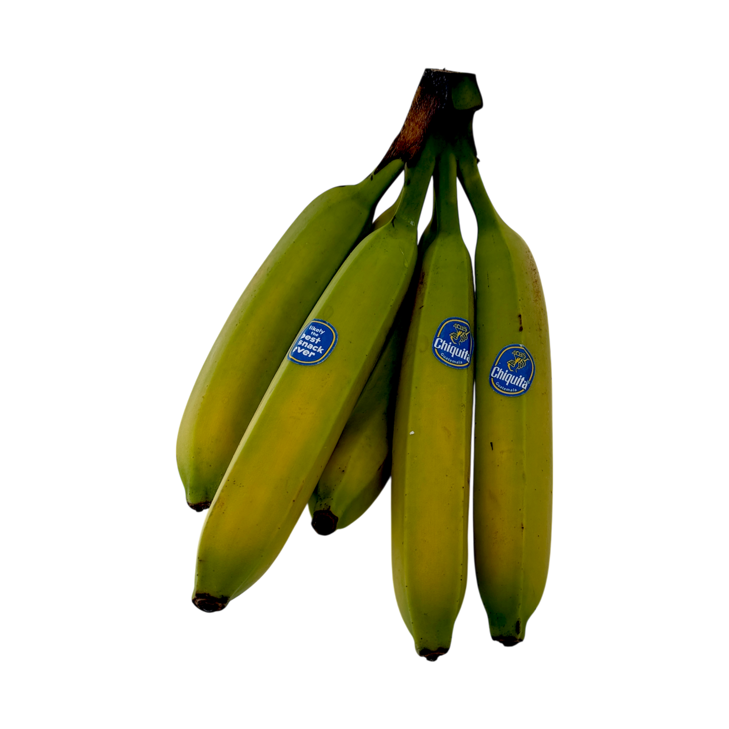 🟠 Banana Chiquita Tropicale - 1.3KG - Nature King