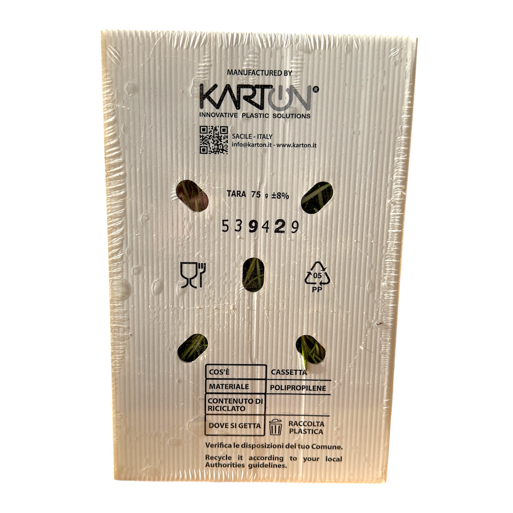 🟣 Rosmarino Fresco in Vaschetta 250GR – Aromatico e Profumato - Nature King
