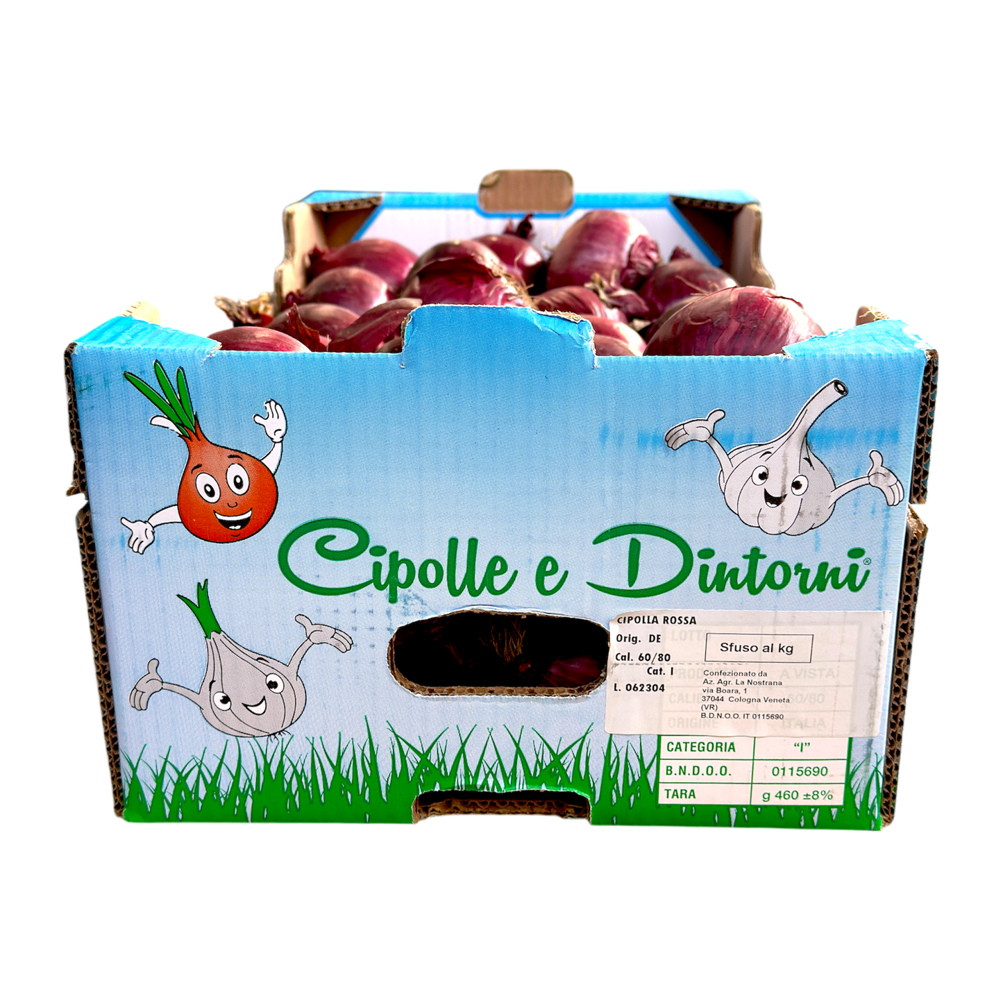 Cipolle rosse