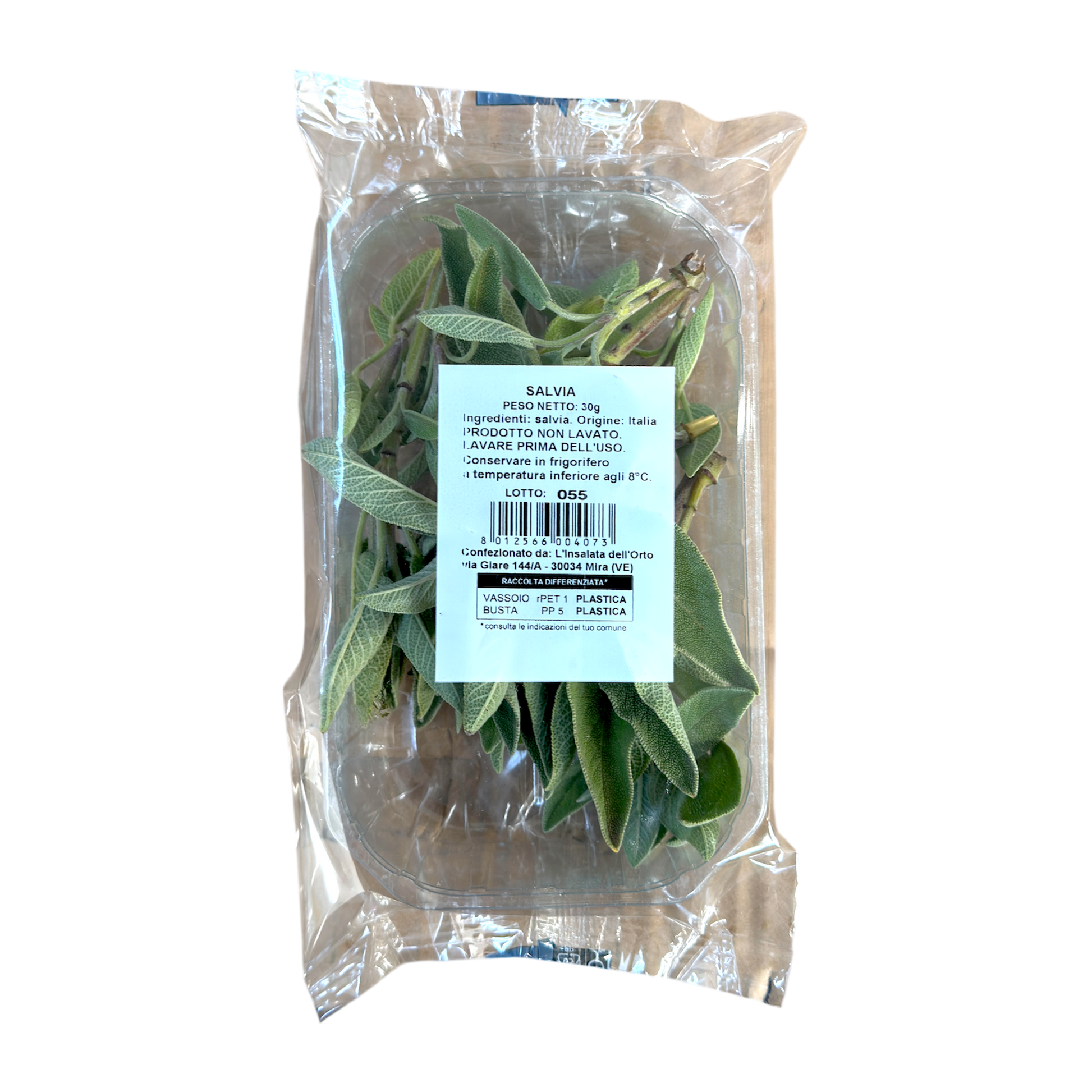 🟣 Salvia Fresca Selezionata – Confezione 30Gr - Nature King
