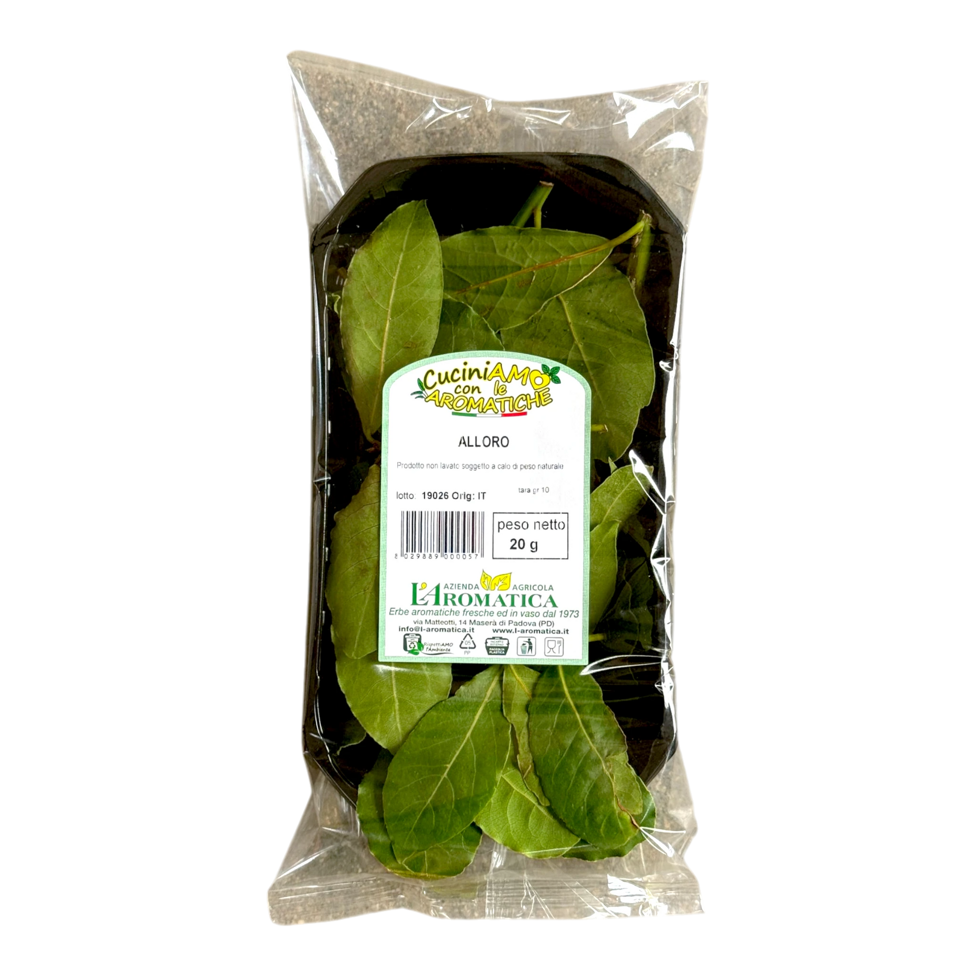 Alloro Fresco - Nature King