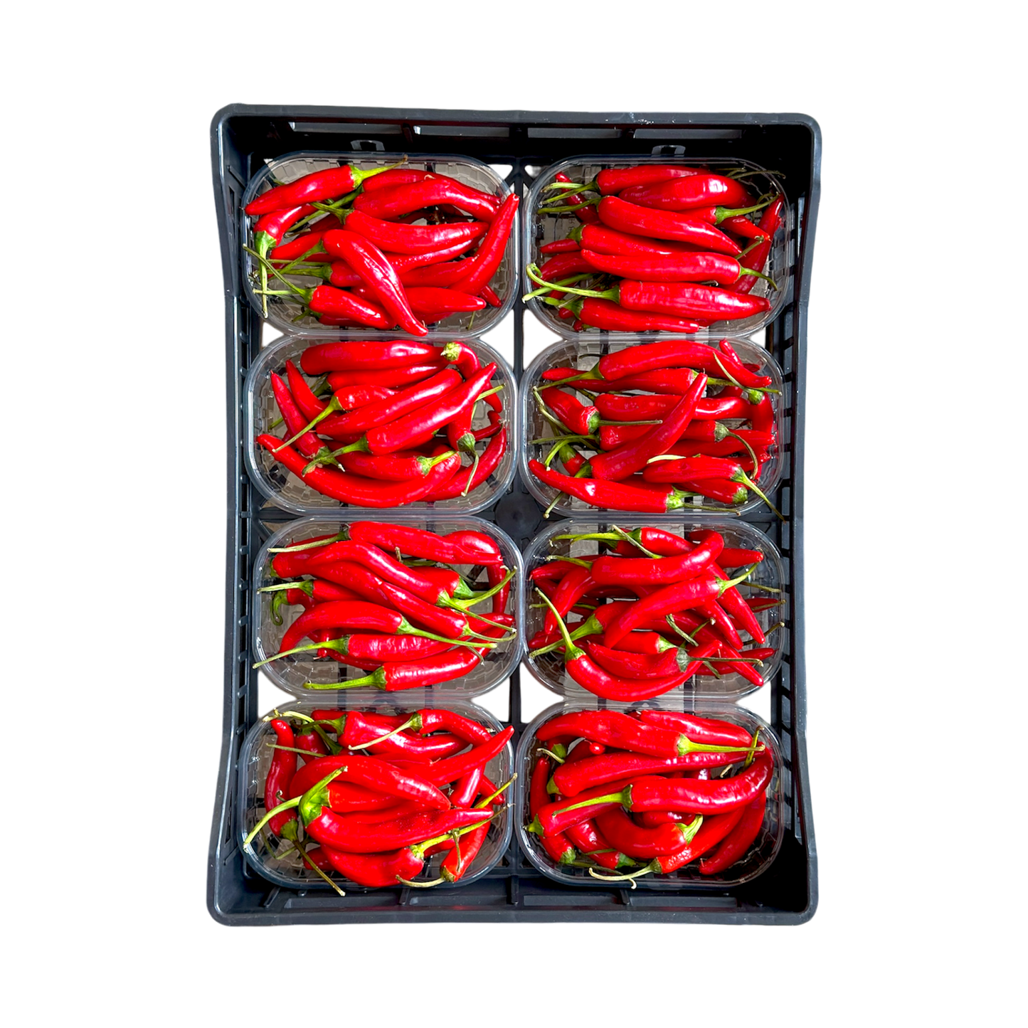 🟢 Peperoncino rosso piccante - Nature King