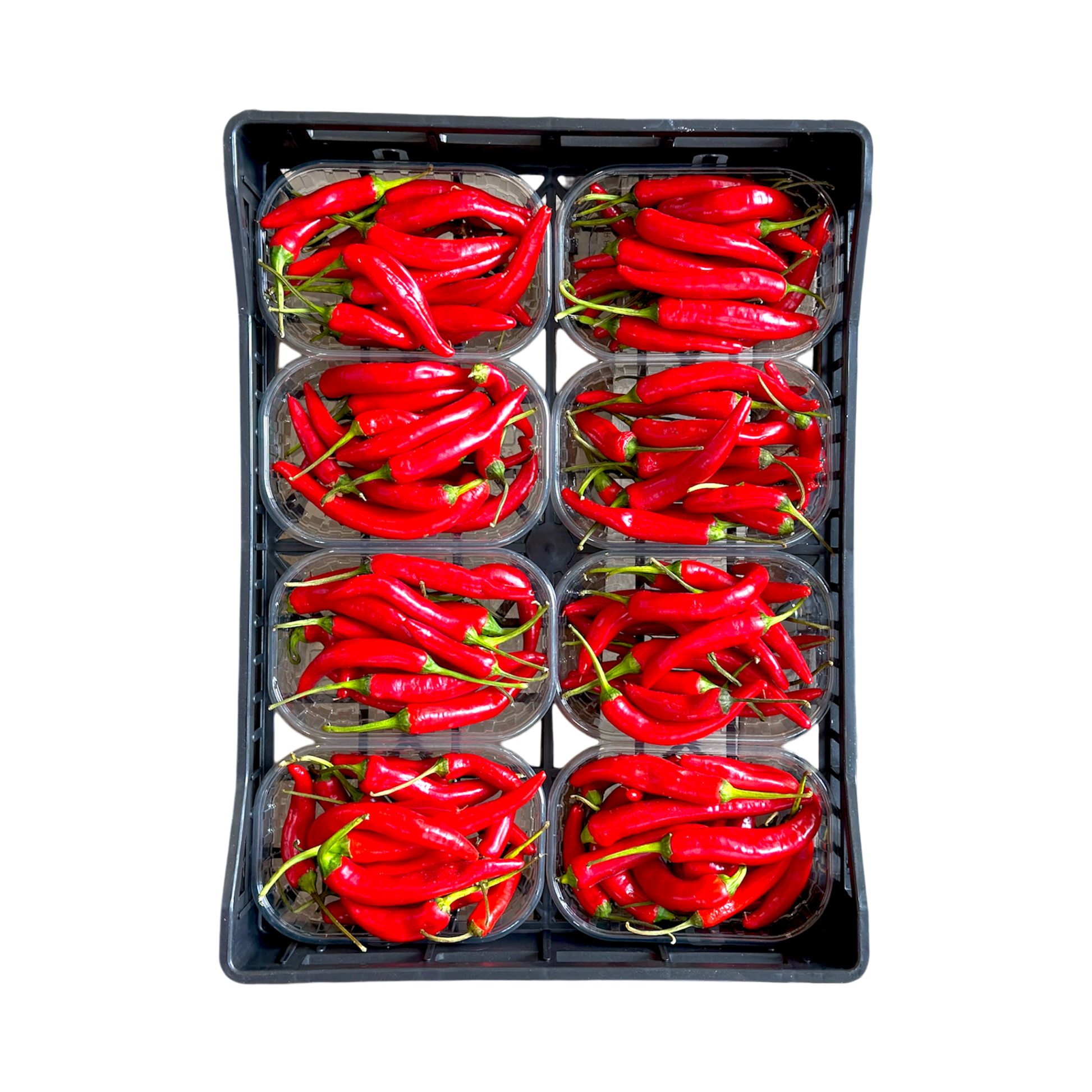 🟢 Peperoncino rosso piccante - Nature King