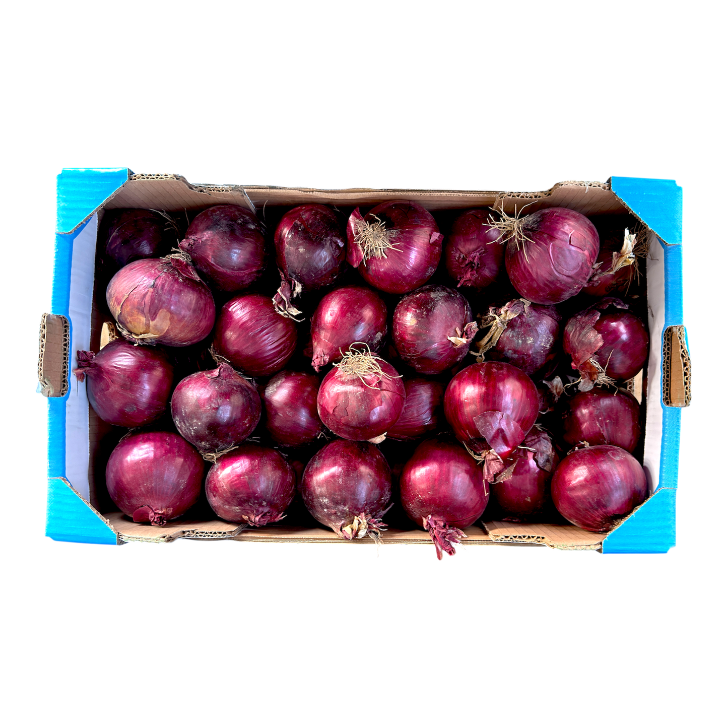 Cipolle rosse
