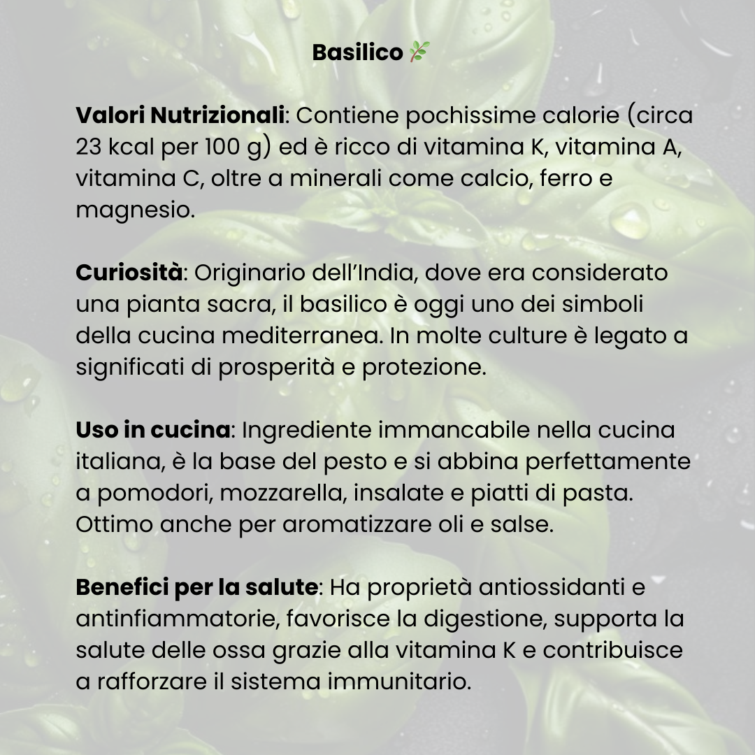 basilico confezionato 30gr - Nature King