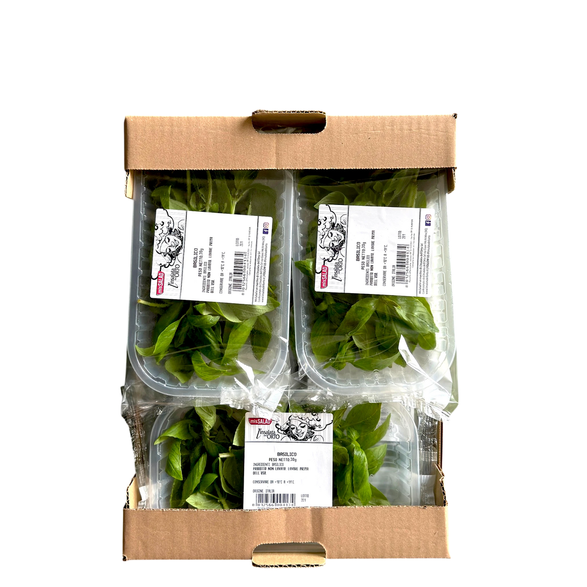 🟣 Basilico Confezionato 30GR - Nature King