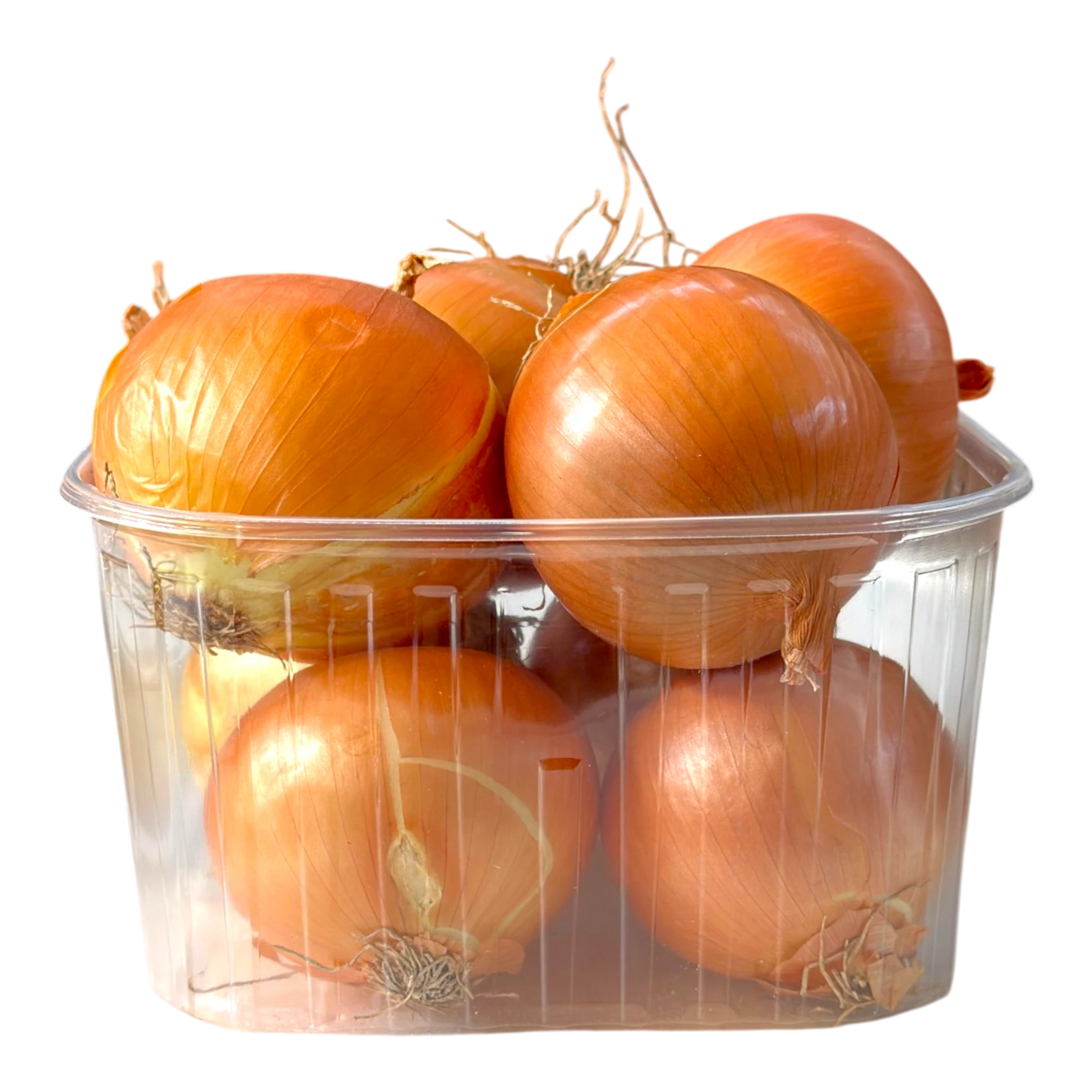 🟢 Cipolle Gialle – Dolci e Versatili - Nature King