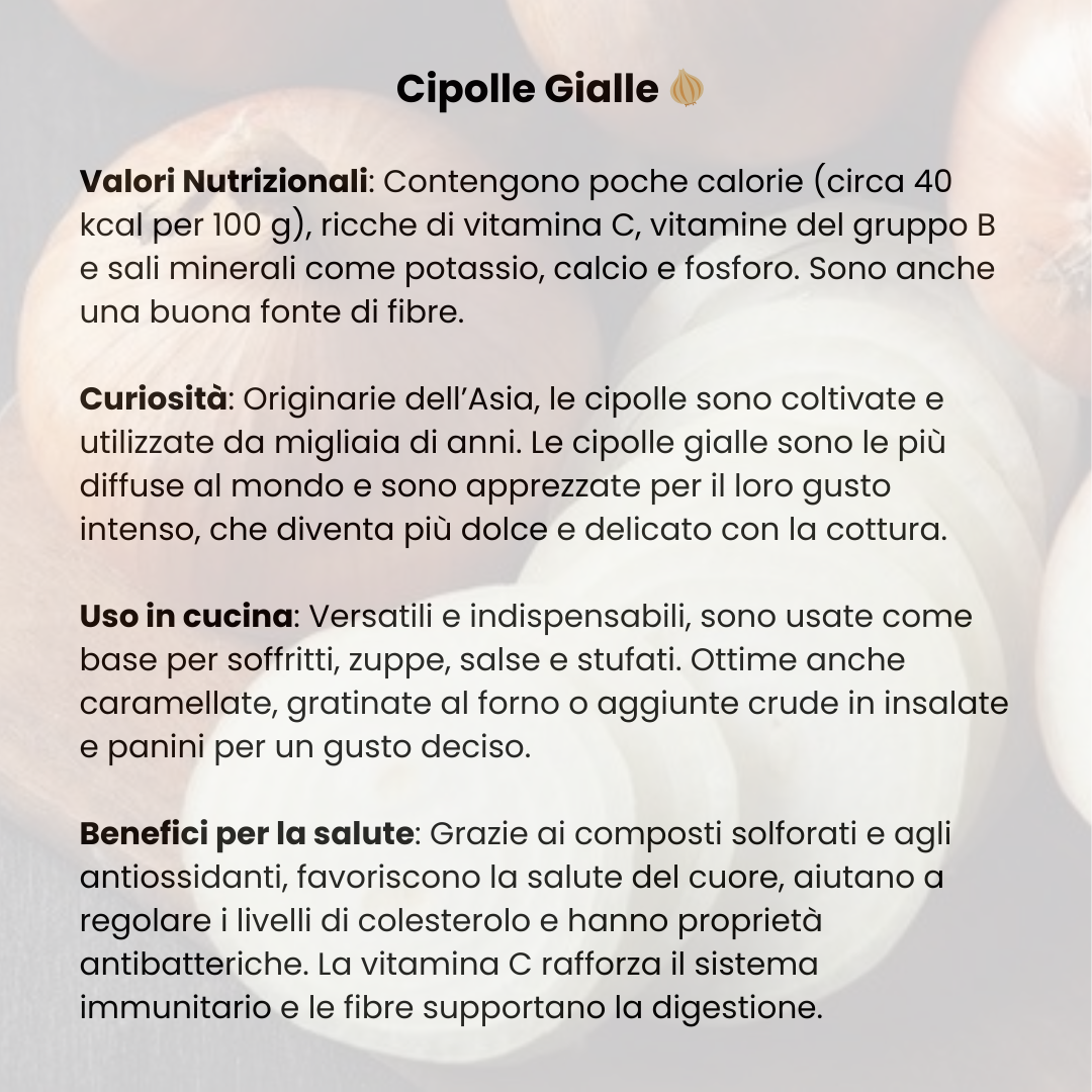 Cipolla gialla 1kg - Nature King
