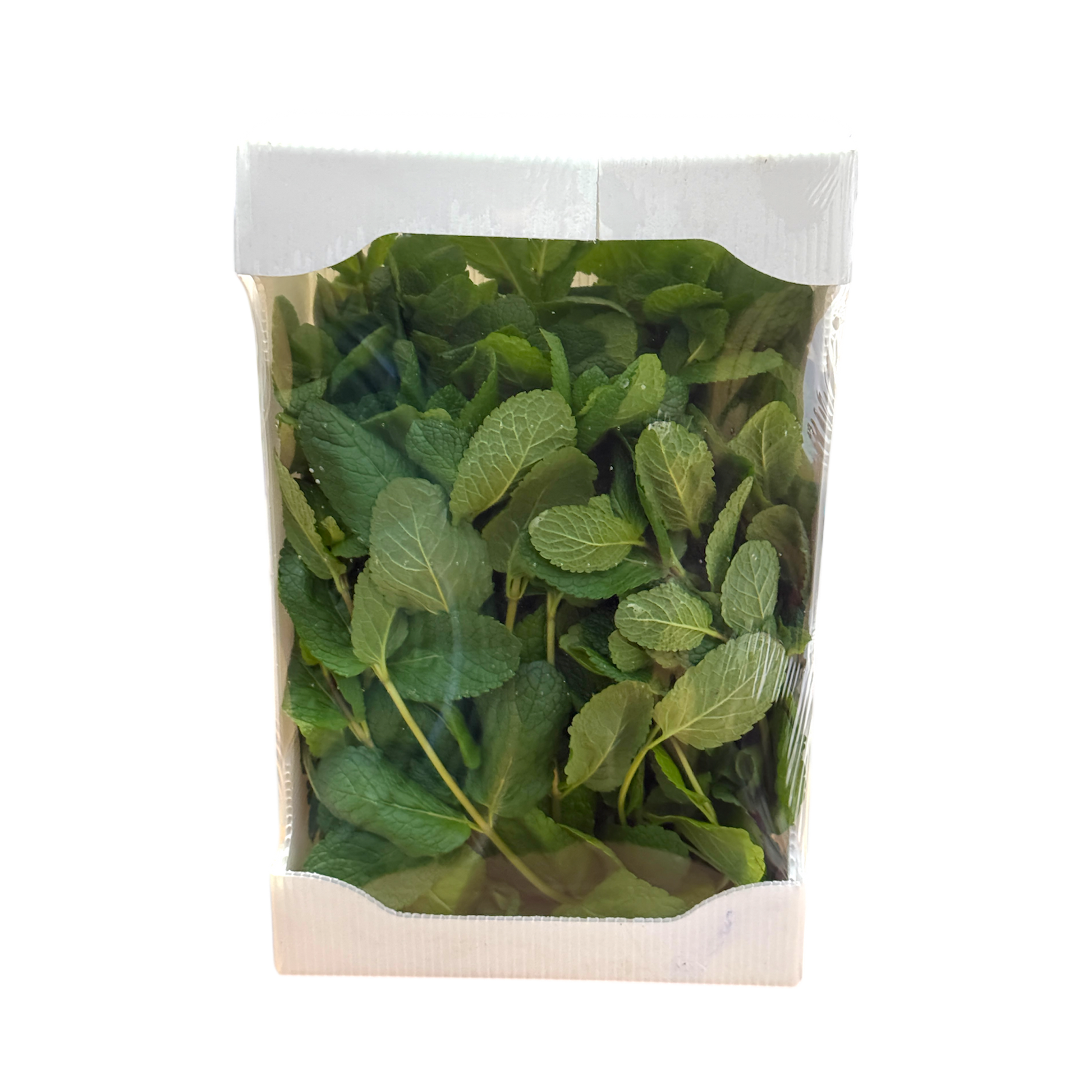 🟣 Menta Fresca 250gr – Profumata, Intensa e Naturale - Nature King