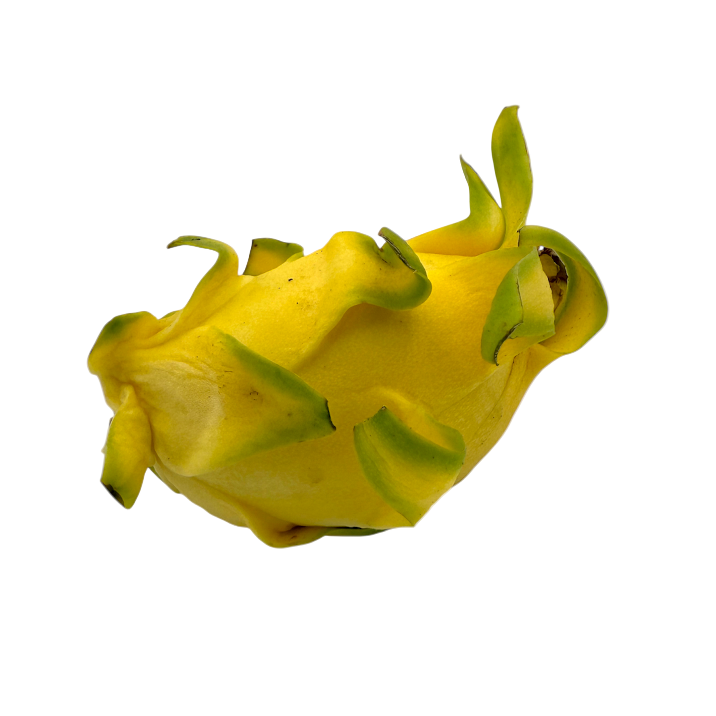 🟠 Dragon Fruit Giallo Topicale - Nature King