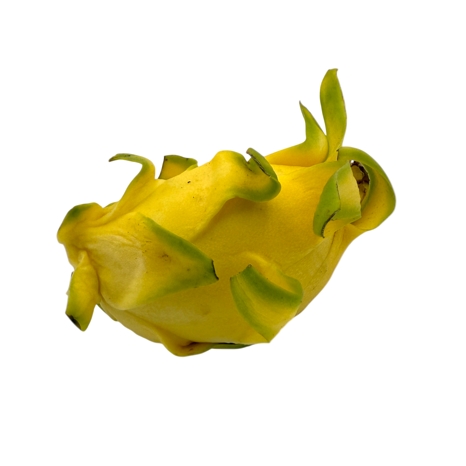 🟠 Dragon Fruit Giallo Topicale - Nature King
