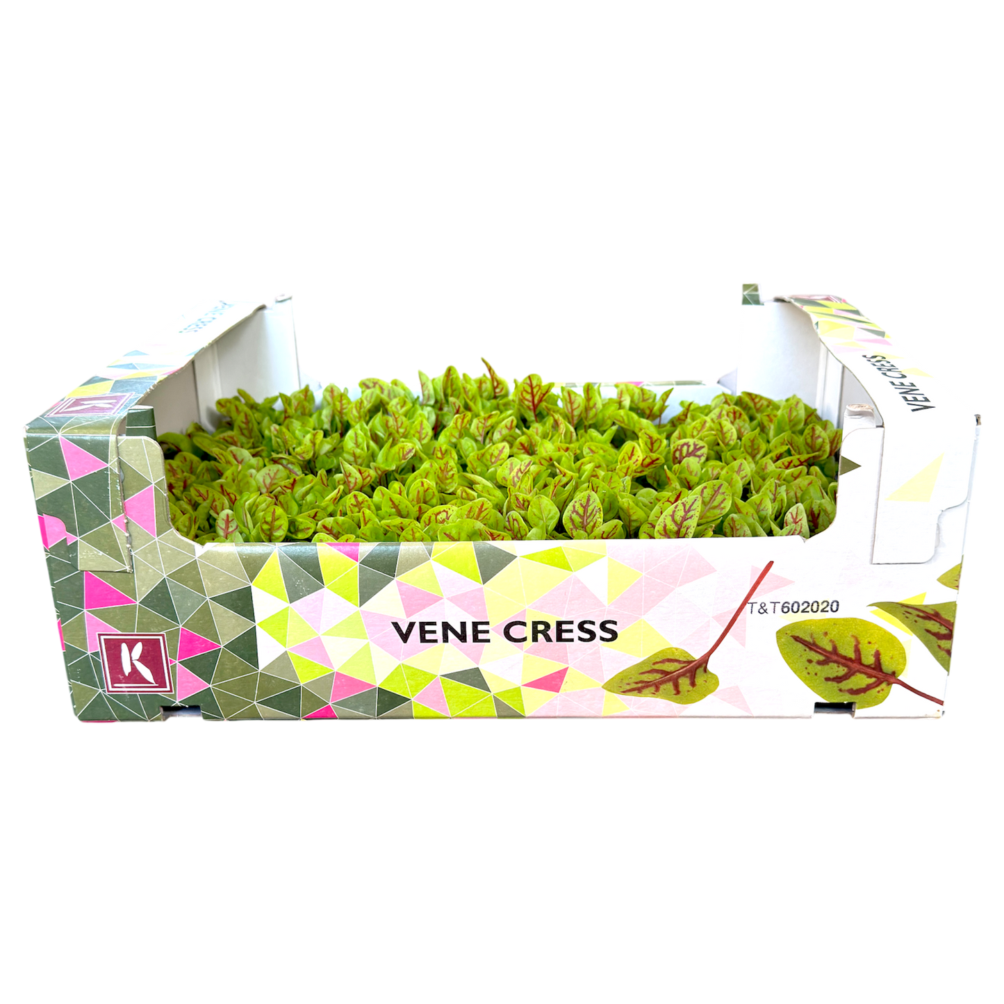 🌱 Vene Cress Koppert Cress – Microgreen Gourmet per Chef - Nature King
