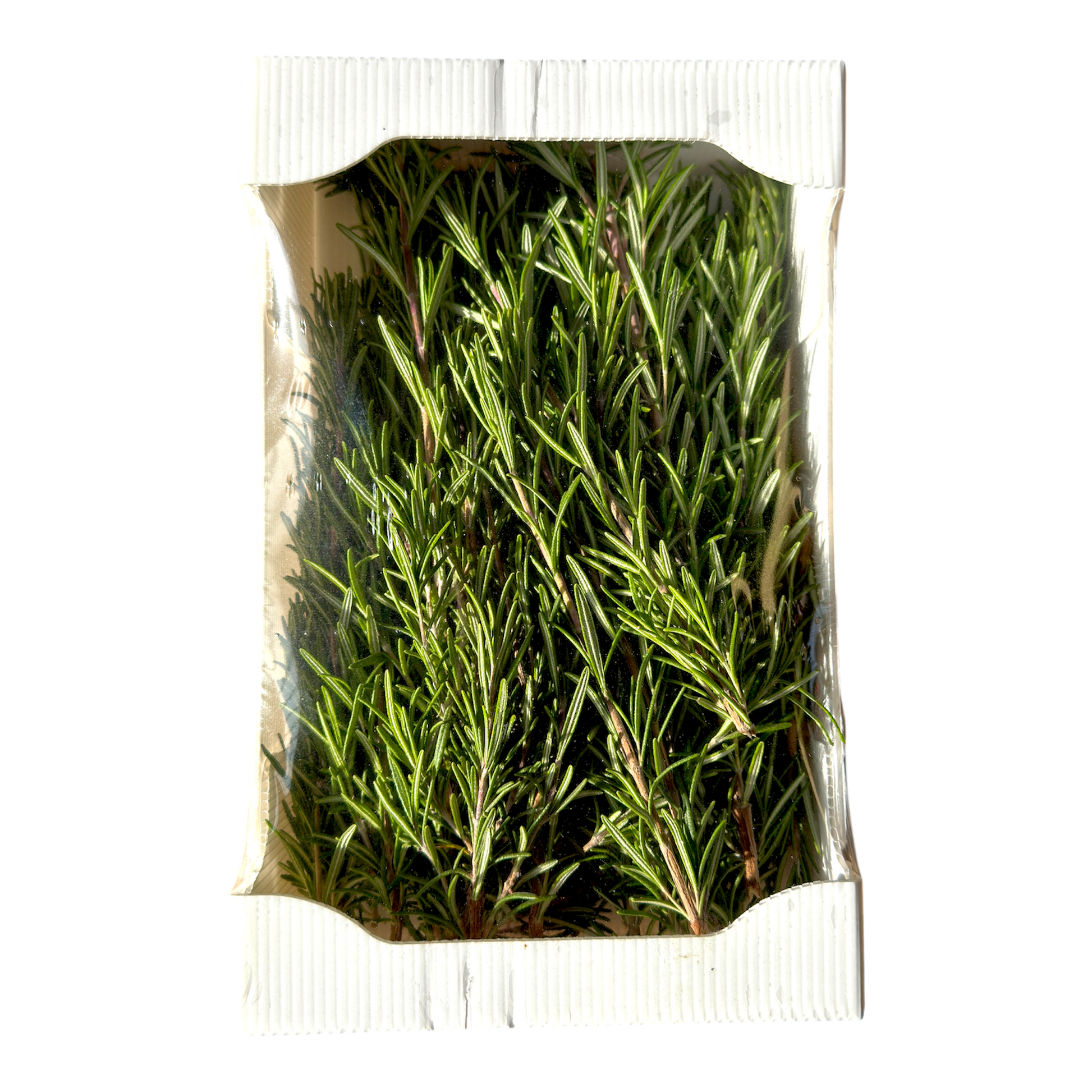 🟣 Rosmarino Fresco in Vaschetta 250GR – Aromatico e Profumato - Nature King