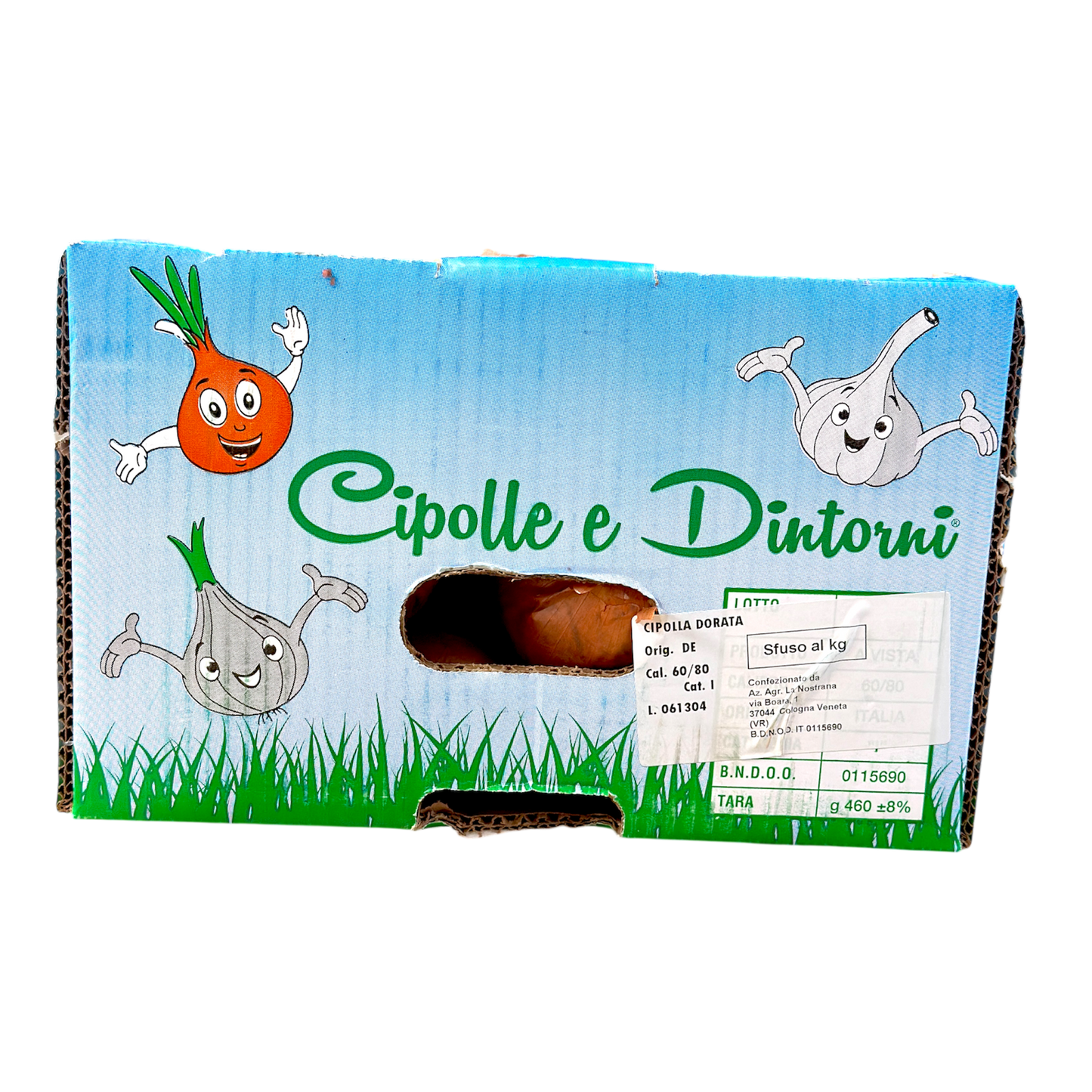 Cipolle gialle - Nature King