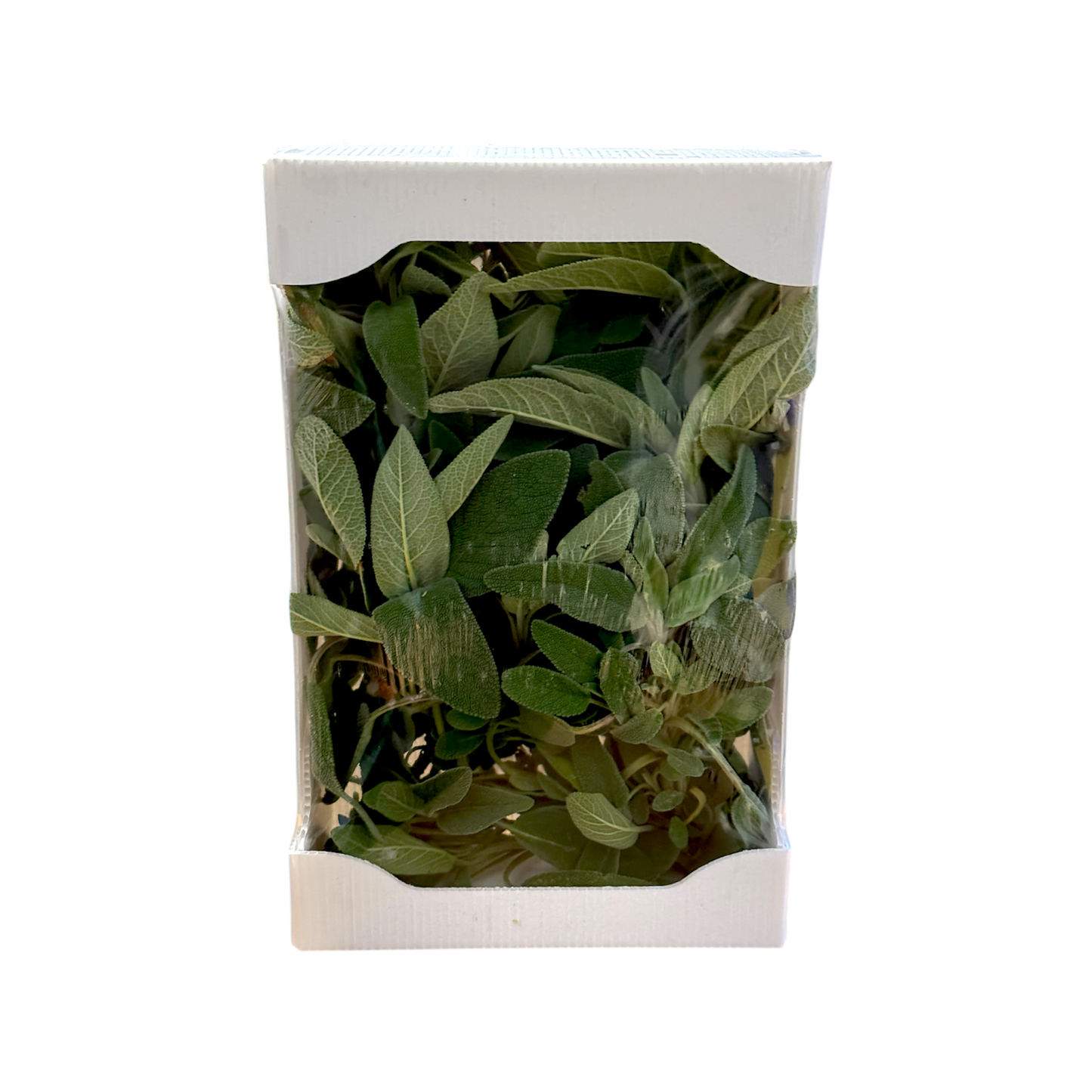 🟣Salvia Fresca Selezionata – 250GR - Nature King