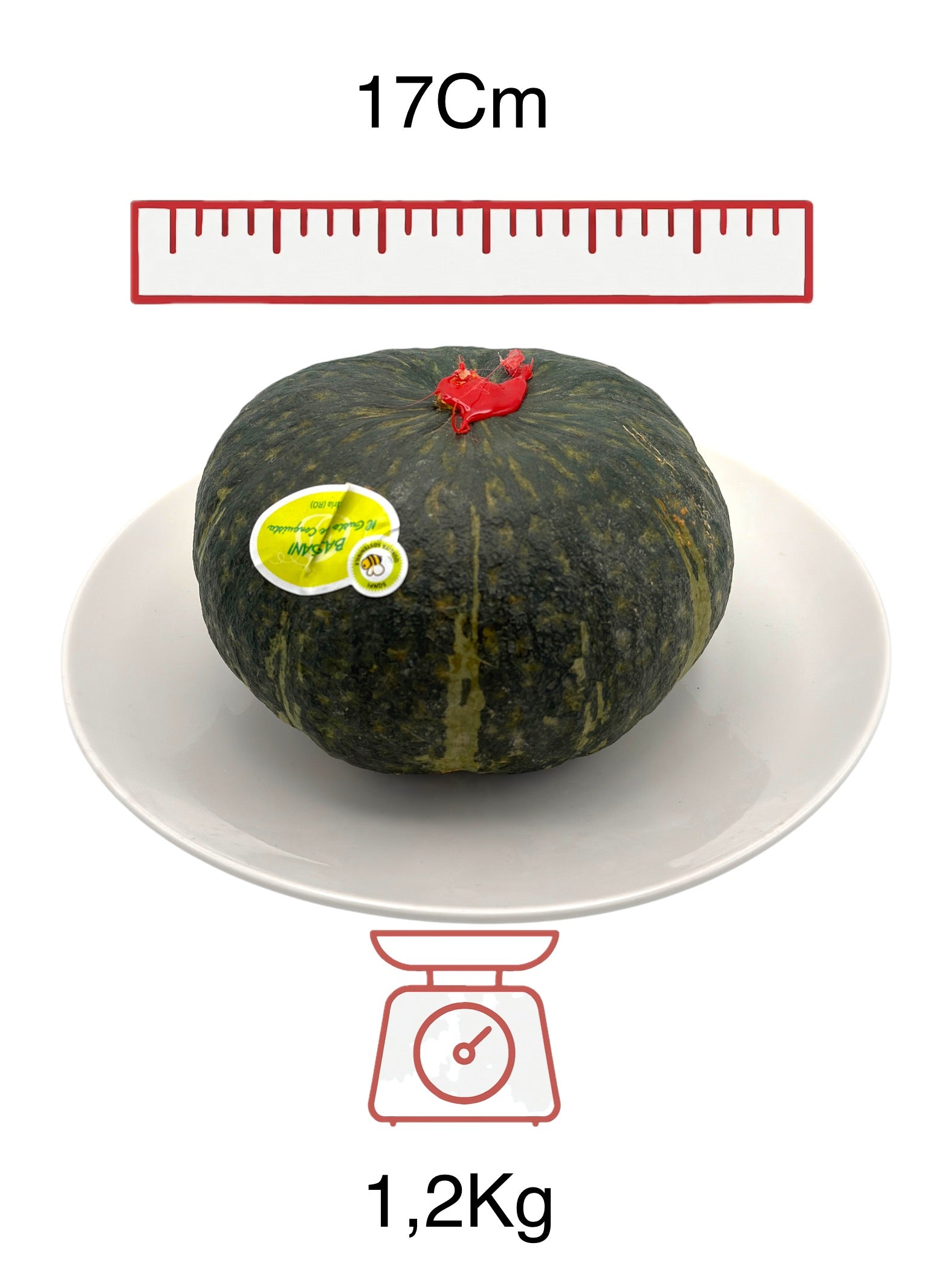 🟢 Zucca Delica – Dolce, Cremosa e di Stagione - Nature King