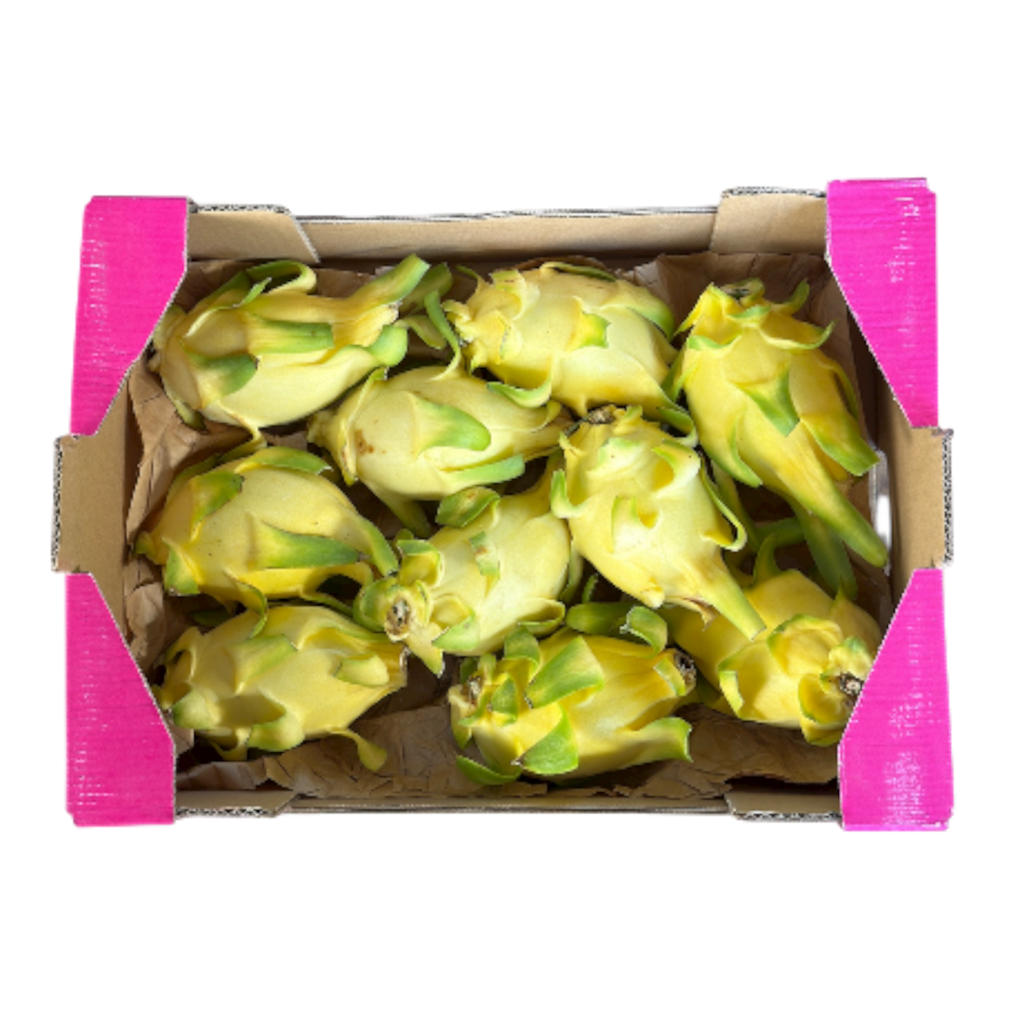 🟠 Dragon Fruit Giallo Topicale - Nature King