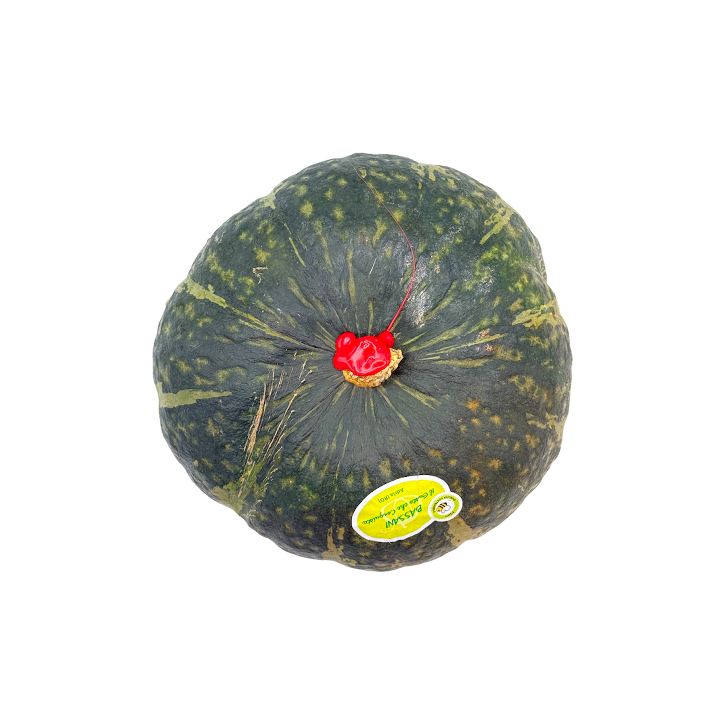 🟢 Zucca Delica – Dolce, Cremosa e di Stagione - Nature King