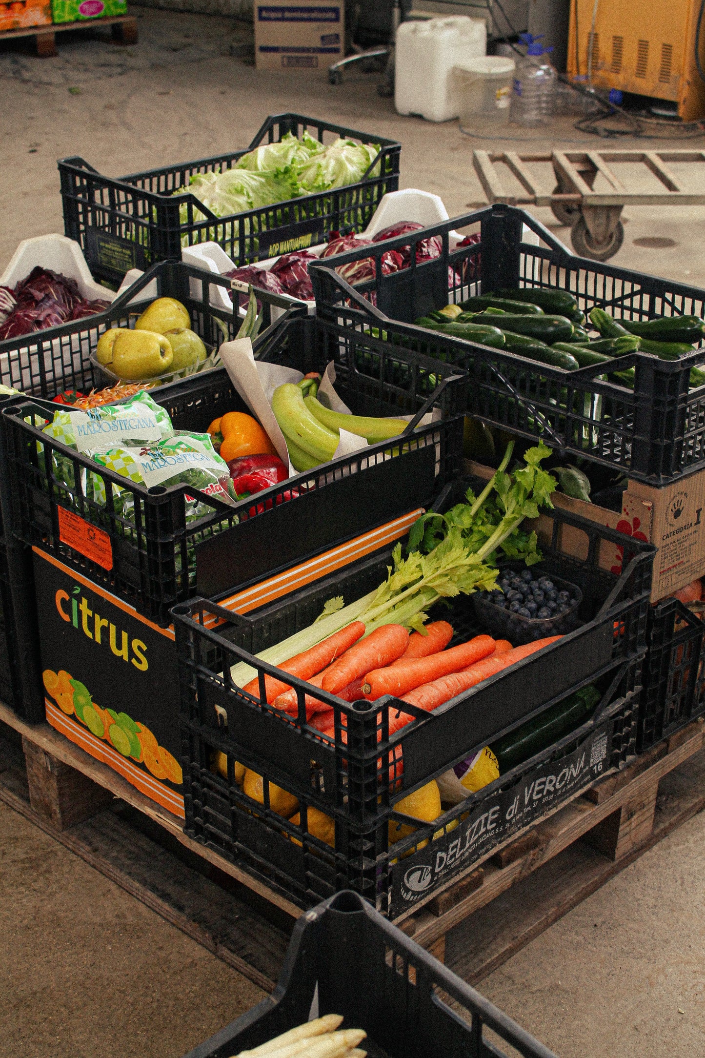 cassetta mista frutta e verdura da 5kg - Nature King