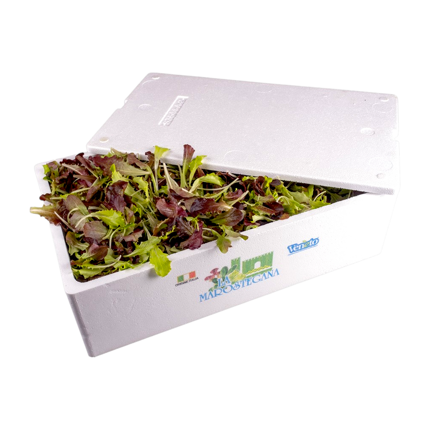 🥗 Misticanza “Tutte Insieme” – Lavata e Pronta all’Uso - Nature King