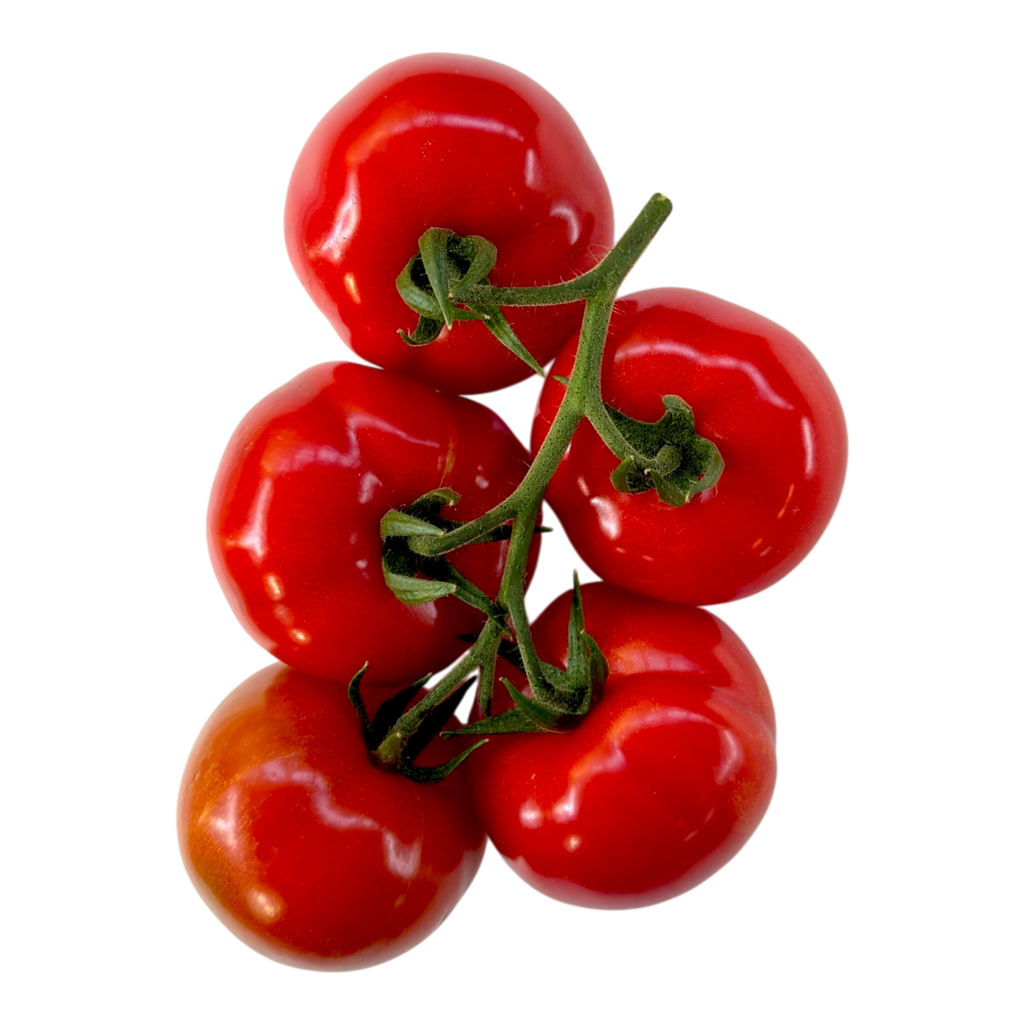 🟢 Pomodoro a Grappolo – Dolce e Profumato