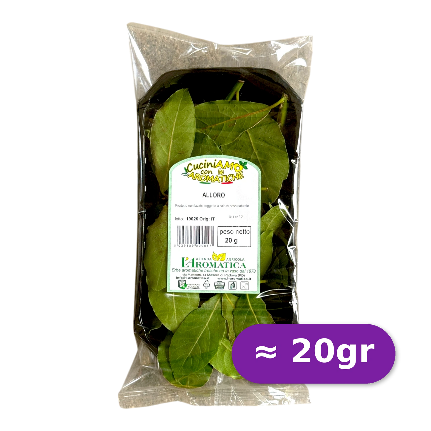 Alloro Fresco - Nature King