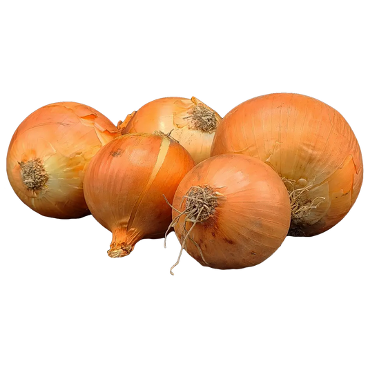 Cipolla gialla 1kg - Nature King