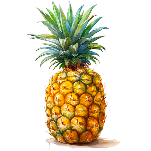 Ananas tropicale 2kg - Nature King